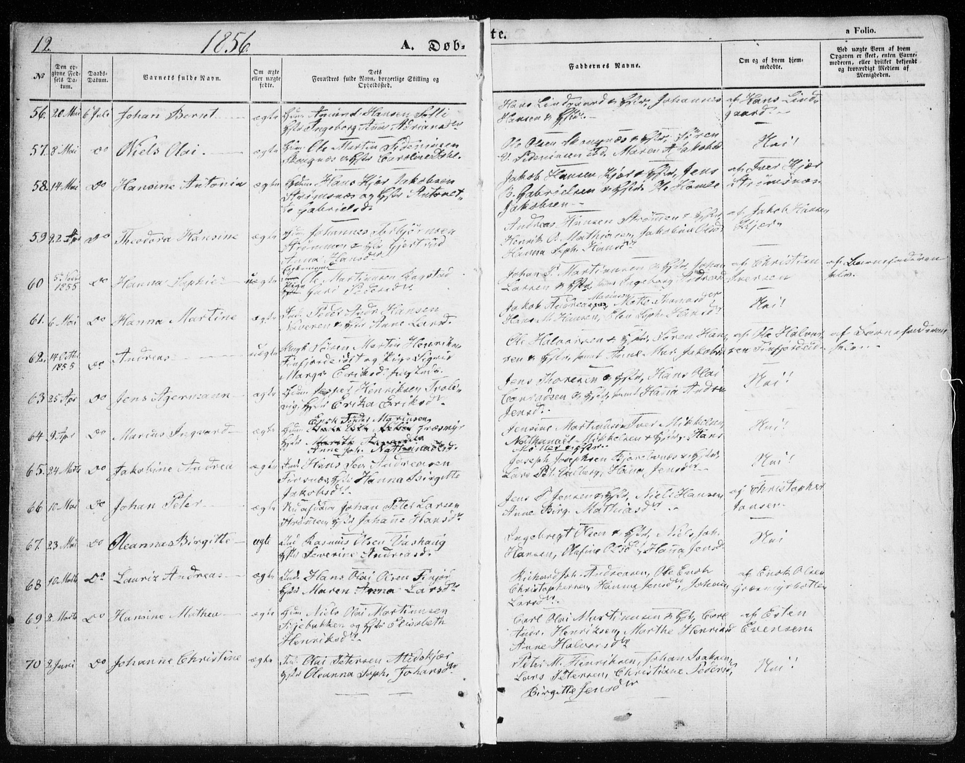 Lenvik sokneprestembete, SATØ/S-1310/H/Ha/Haa/L0007kirke: Parish register (official) no. 7, 1855-1865, p. 12