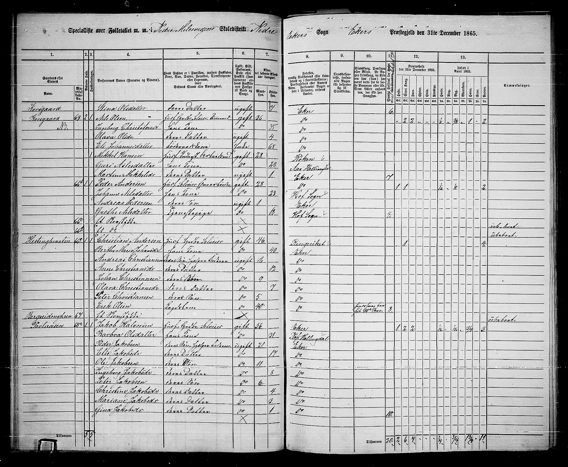 RA, 1865 census for Eiker, 1865, p. 303