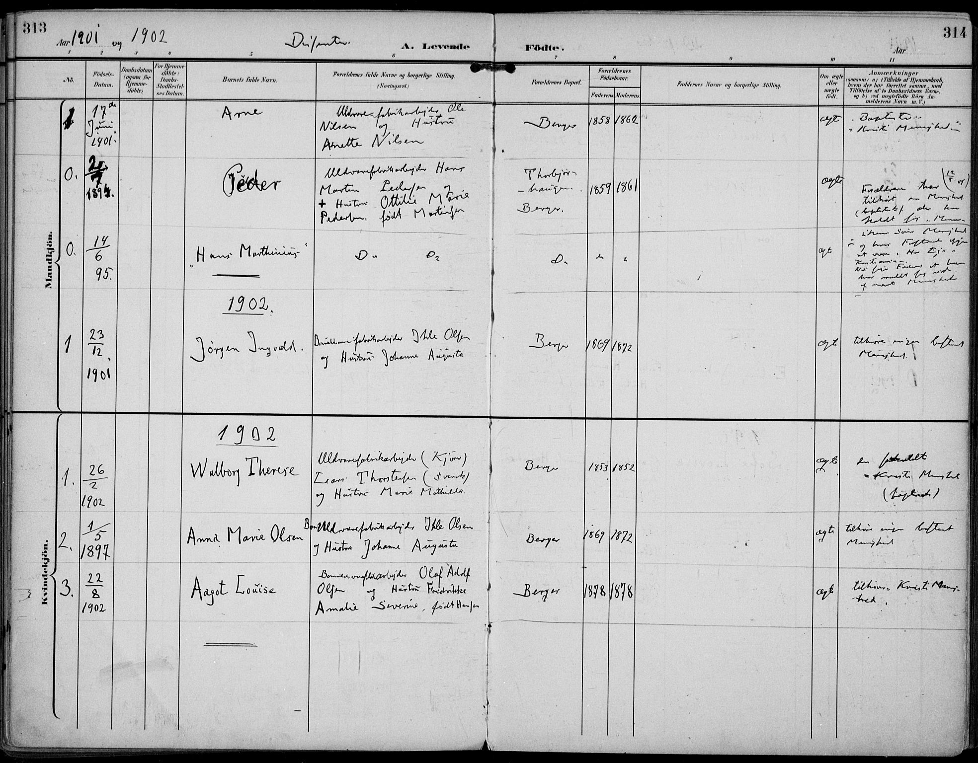 Strømm kirkebøker, AV/SAKO-A-322/F/Fa/L0005: Parish register (official) no. I 5, 1898-1919, p. 313-314