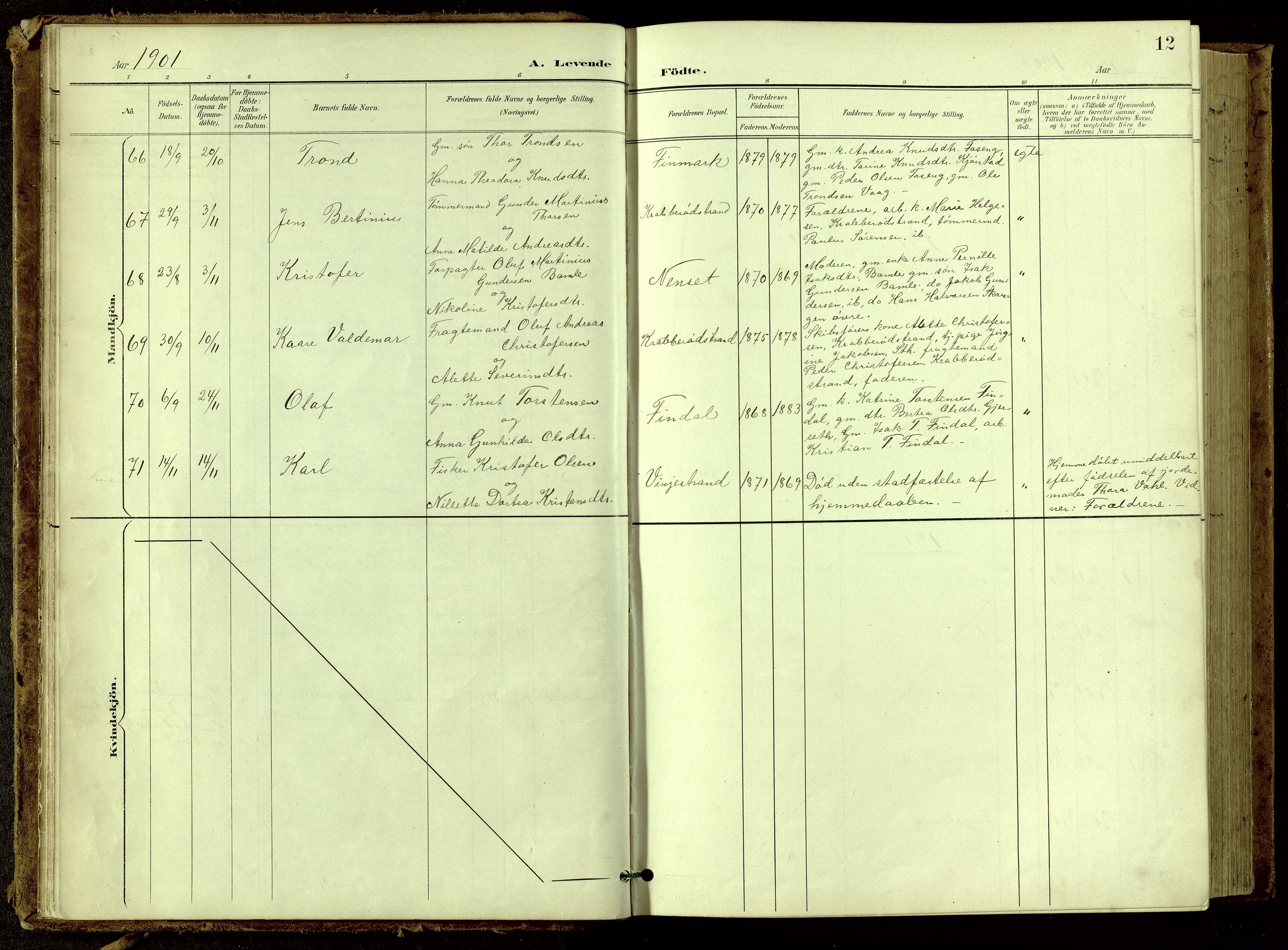 Bamble kirkebøker, SAKO/A-253/G/Ga/L0010: Parish register (copy) no. I 10, 1901-1919, p. 12