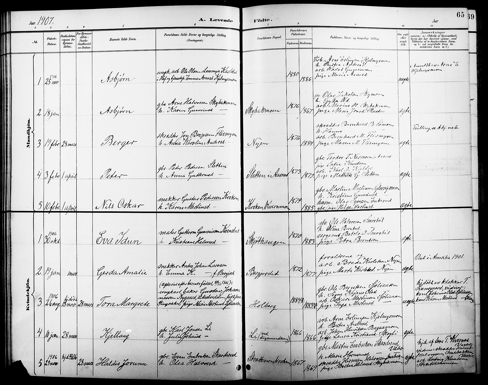 Åsnes prestekontor, AV/SAH-PREST-042/H/Ha/Hab/L0005: Parish register (copy) no. 5, 1895-1920, p. 65