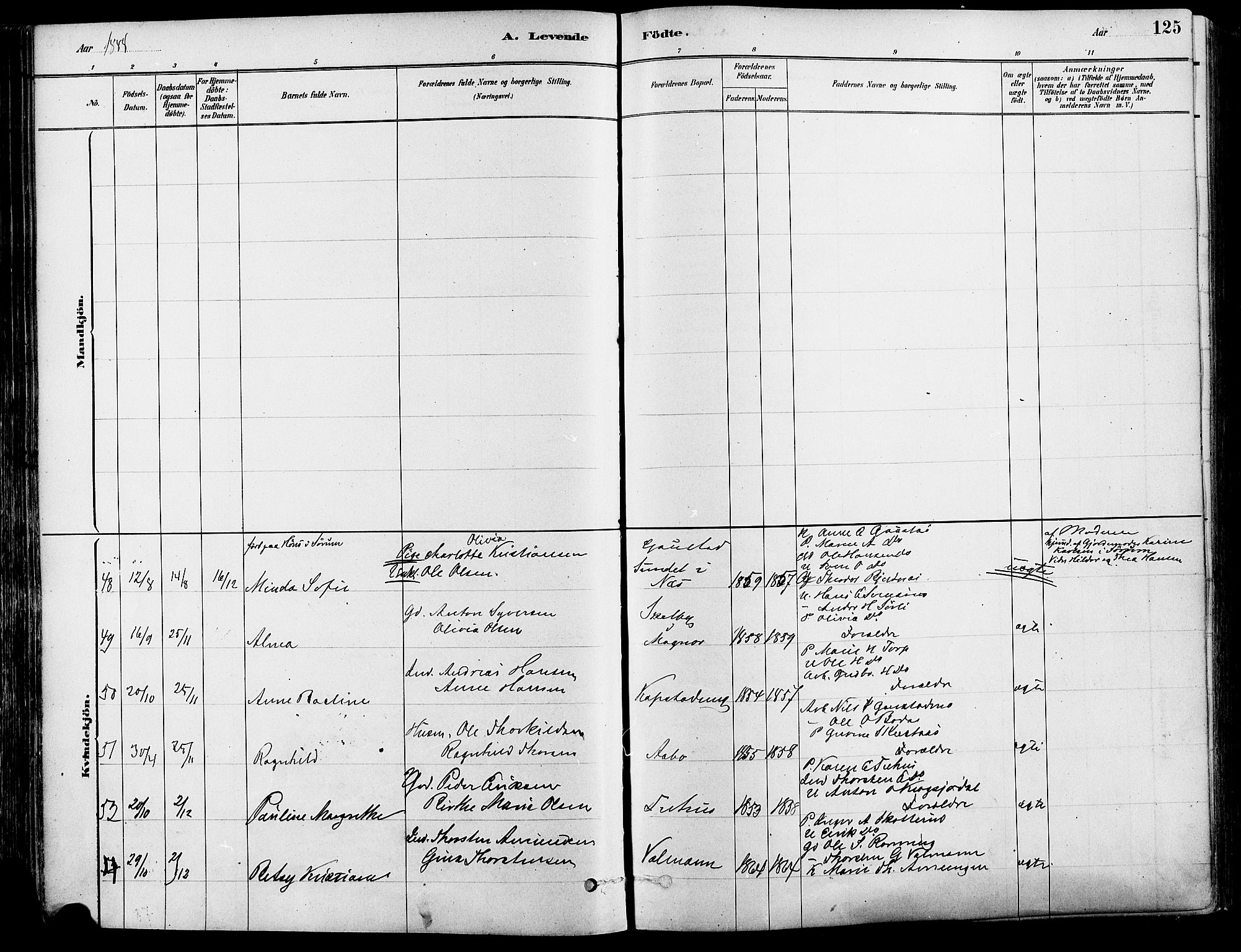 Eidskog prestekontor, AV/SAH-PREST-026/H/Ha/Haa/L0003: Parish register (official) no. 3, 1879-1892, p. 125