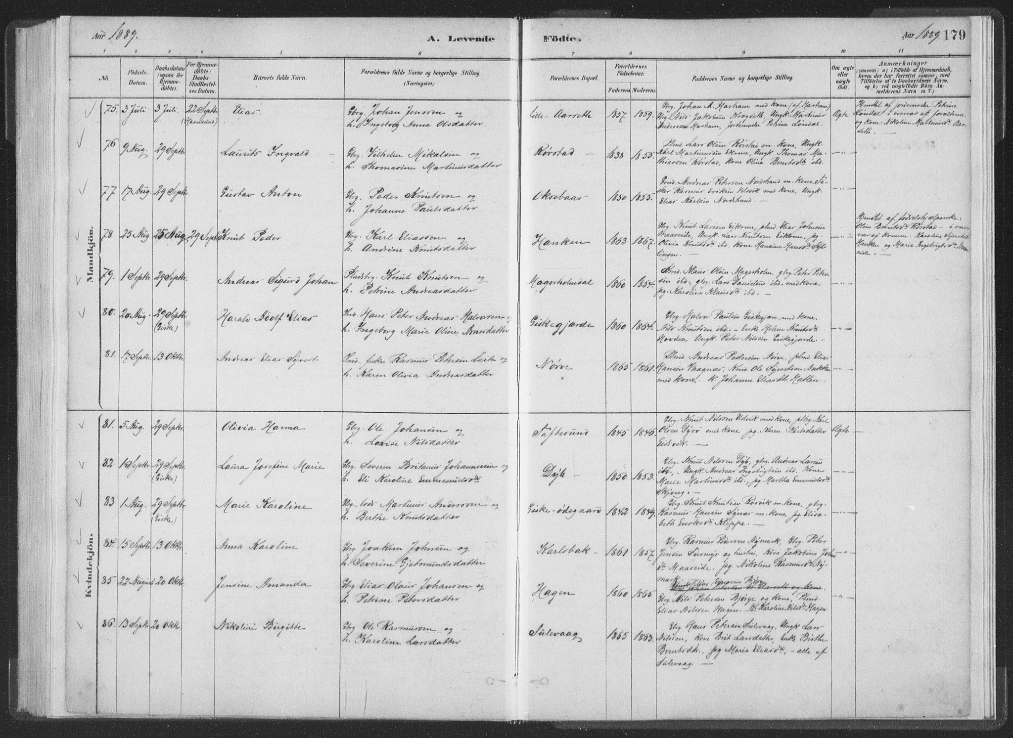 Ministerialprotokoller, klokkerbøker og fødselsregistre - Møre og Romsdal, AV/SAT-A-1454/528/L0401: Parish register (official) no. 528A12I, 1880-1920, p. 179