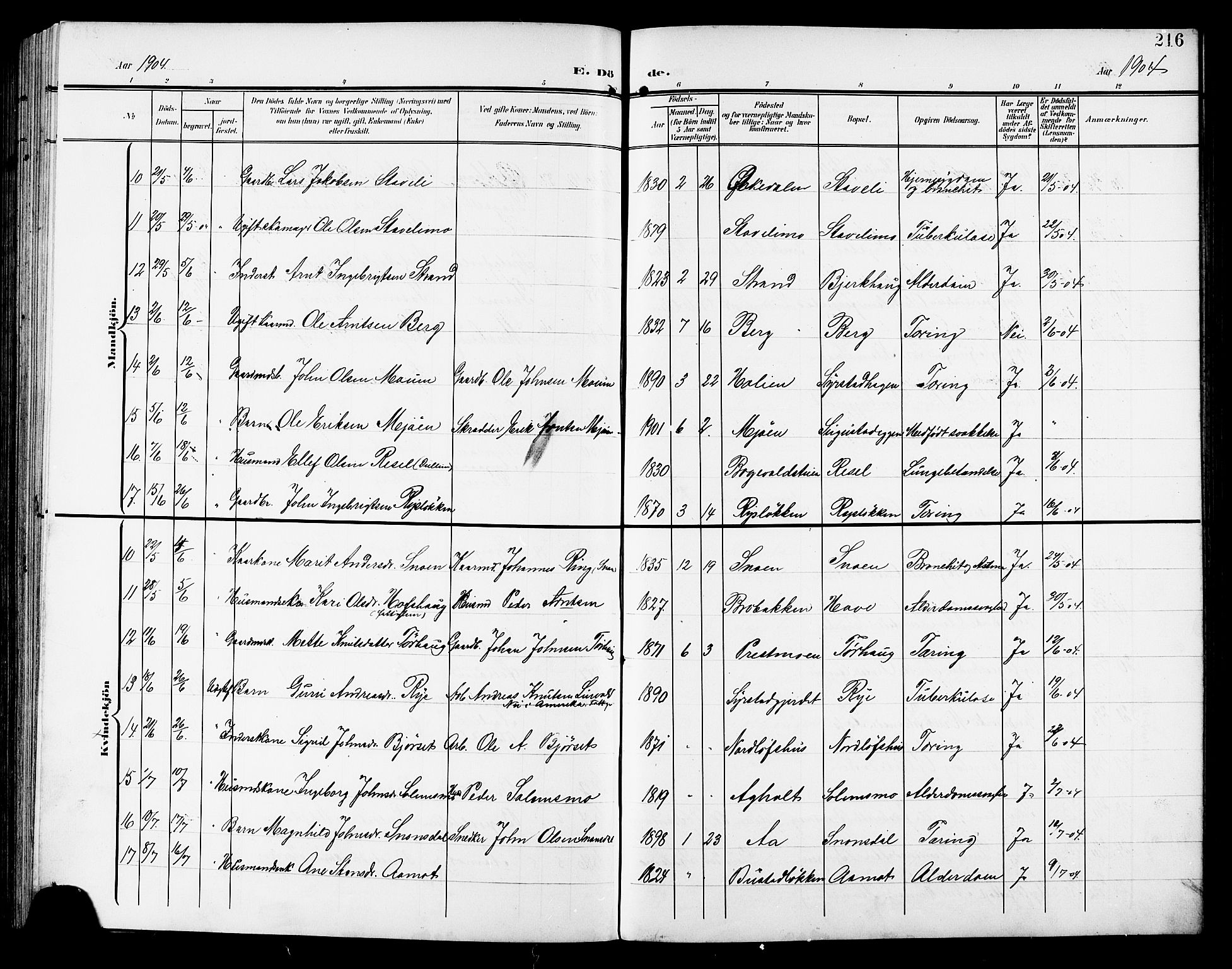 Ministerialprotokoller, klokkerbøker og fødselsregistre - Sør-Trøndelag, SAT/A-1456/672/L0864: Parish register (copy) no. 672C03, 1902-1914, p. 216