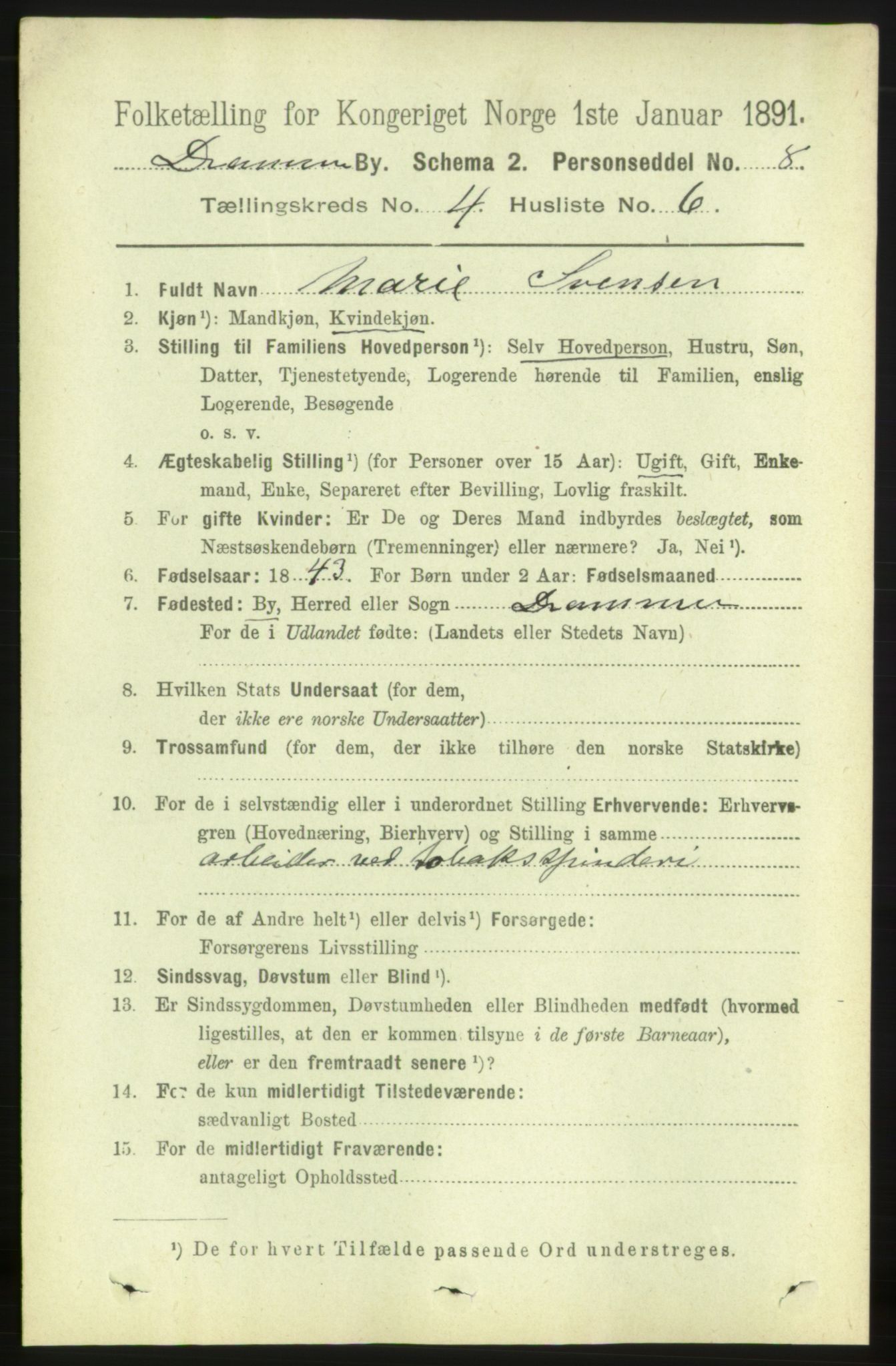 RA, 1891 census for 0602 Drammen, 1891, p. 5345