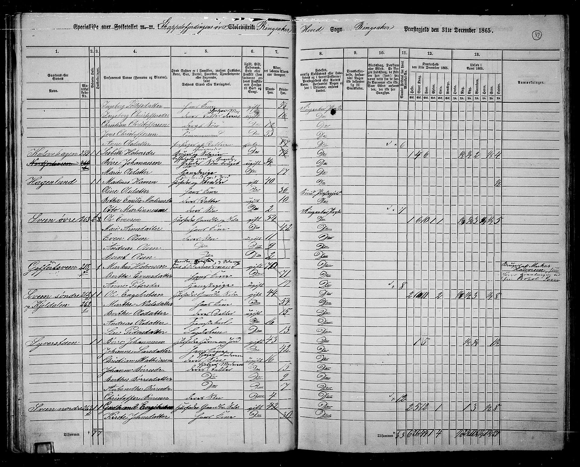 RA, 1865 census for Ringsaker, 1865, p. 299