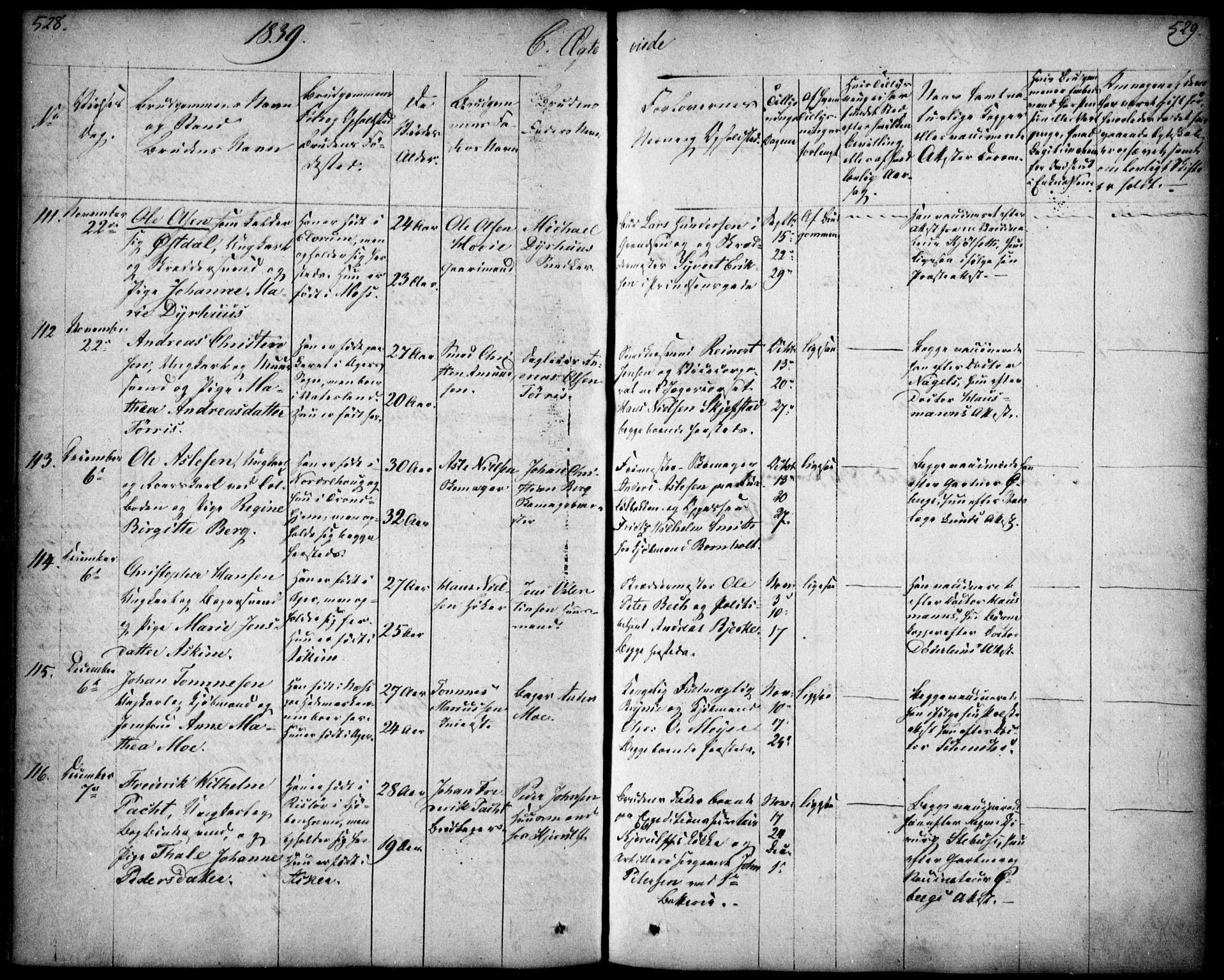 Oslo domkirke Kirkebøker, SAO/A-10752/F/Fa/L0019: Parish register (official) no. 19, 1828-1847, p. 528-529