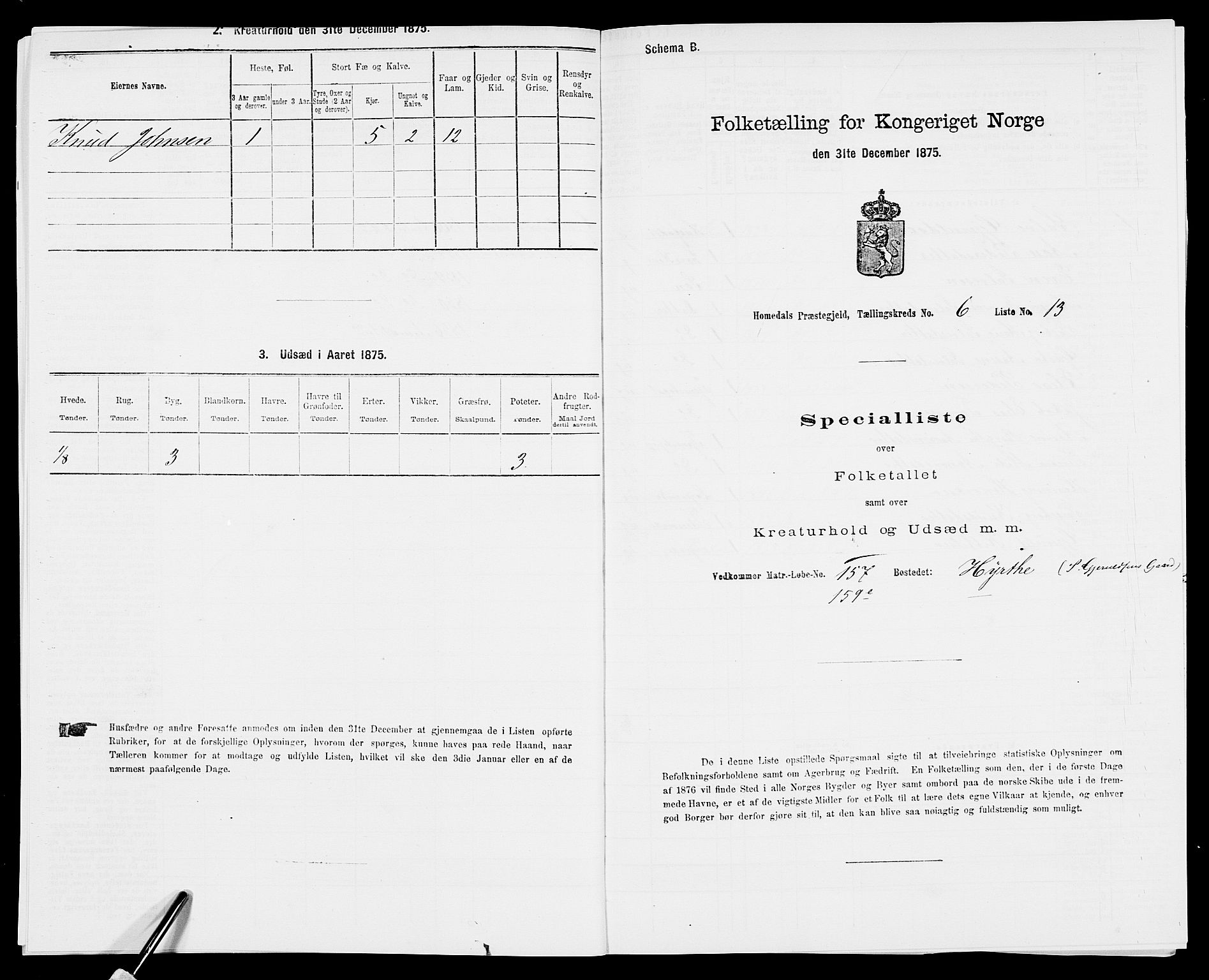 SAK, 1875 census for 0924P Homedal, 1875, p. 1062