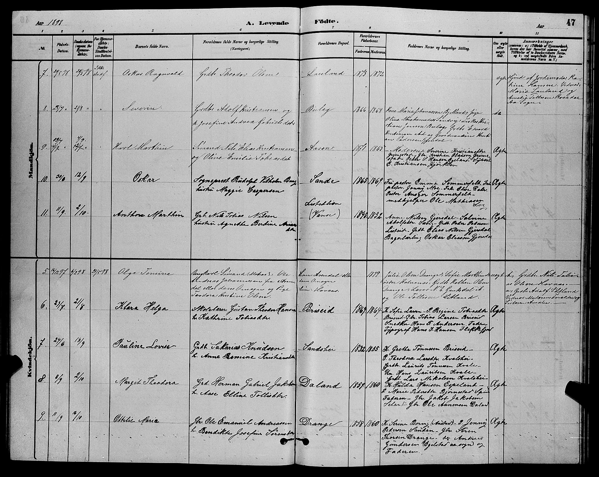 Herad sokneprestkontor, SAK/1111-0018/F/Fb/Fba/L0004: Parish register (copy) no. B 4, 1882-1899, p. 47