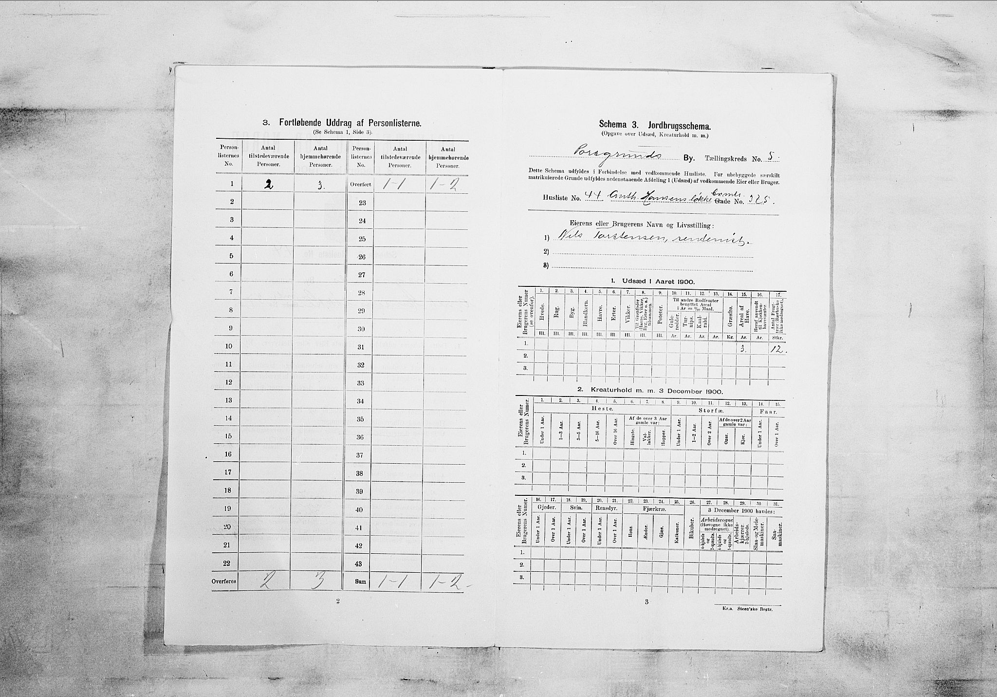 SAKO, 1900 census for Porsgrunn, 1900, p. 903