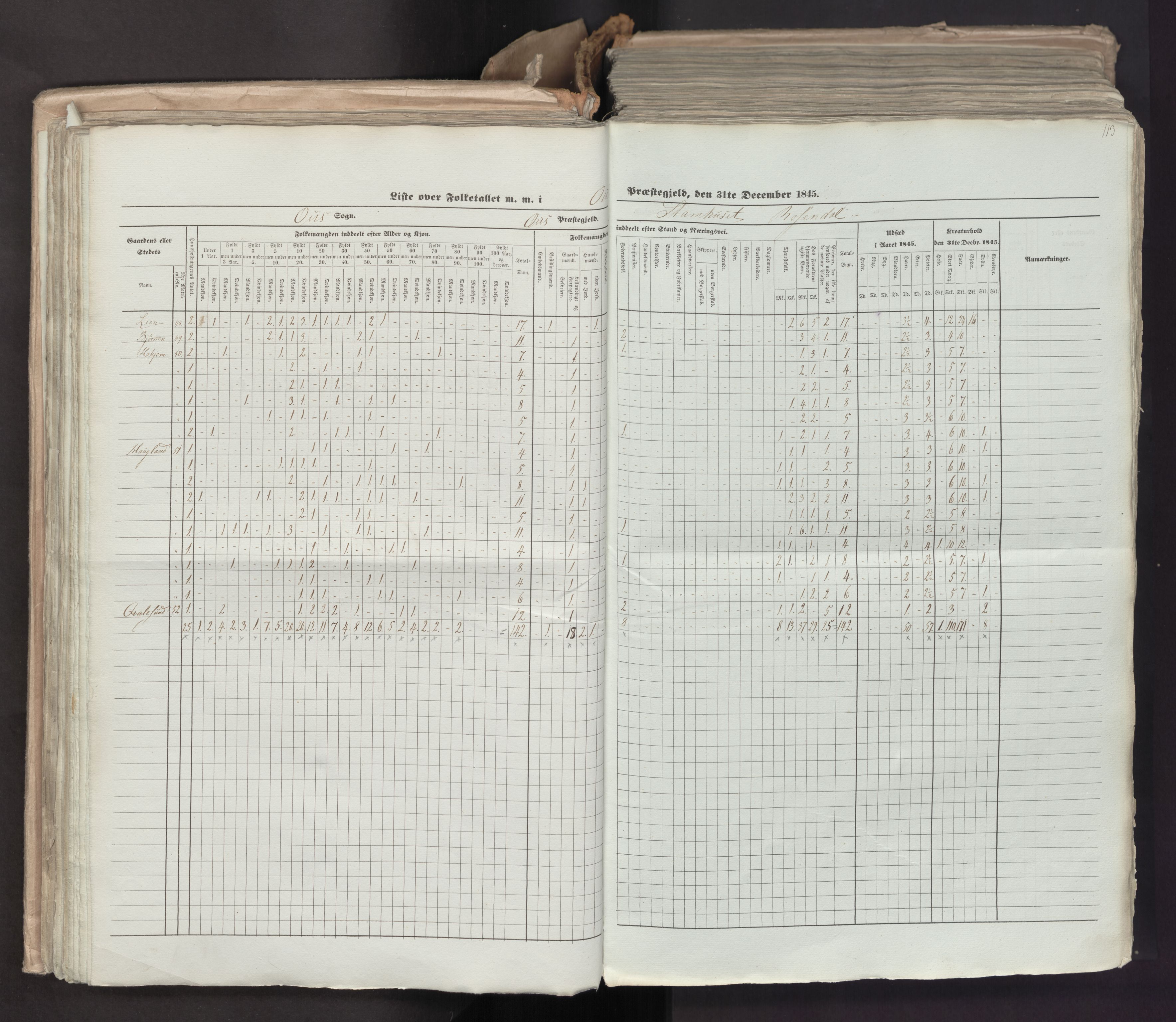 RA, Census 1845, vol. 7: Søndre Bergenhus amt og Nordre Bergenhus amt, 1845, p. 113