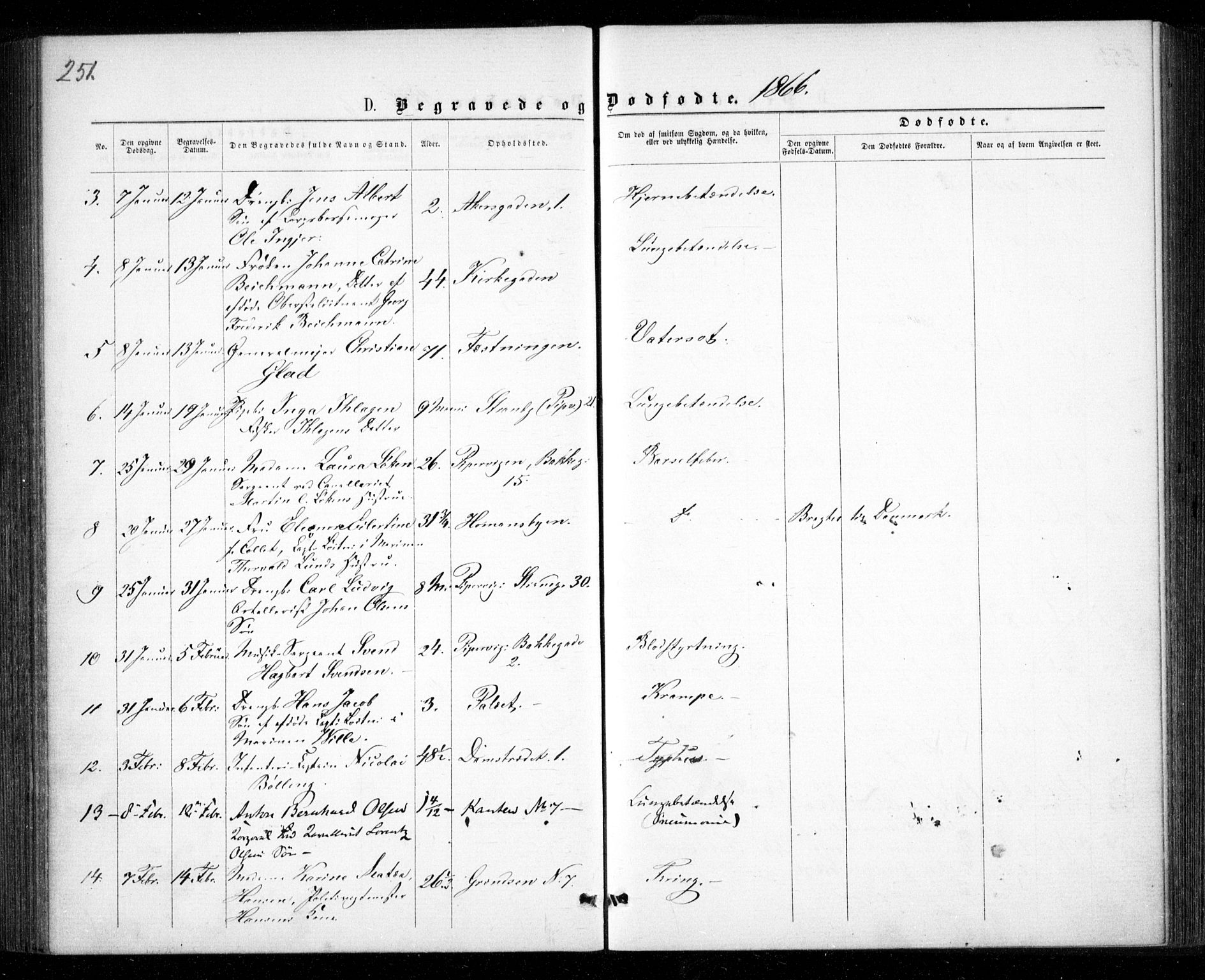 Garnisonsmenigheten Kirkebøker, AV/SAO-A-10846/G/Ga/L0006: Parish register (copy) no. 6, 1860-1880, p. 251