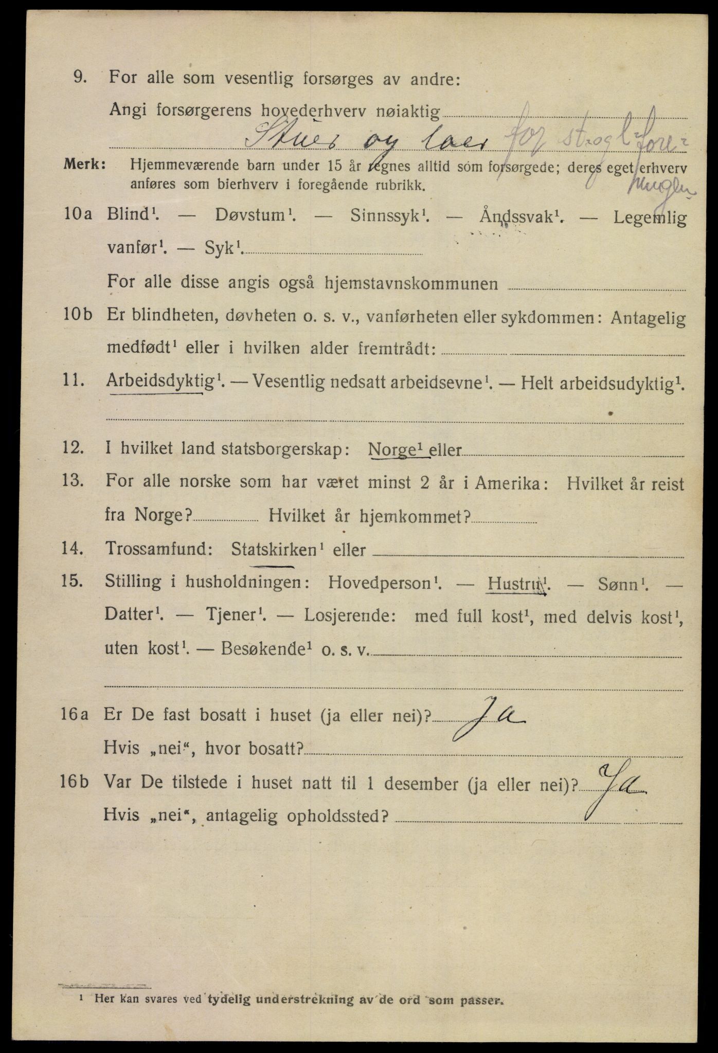 SAKO, 1920 census for Porsgrunn, 1920, p. 17352