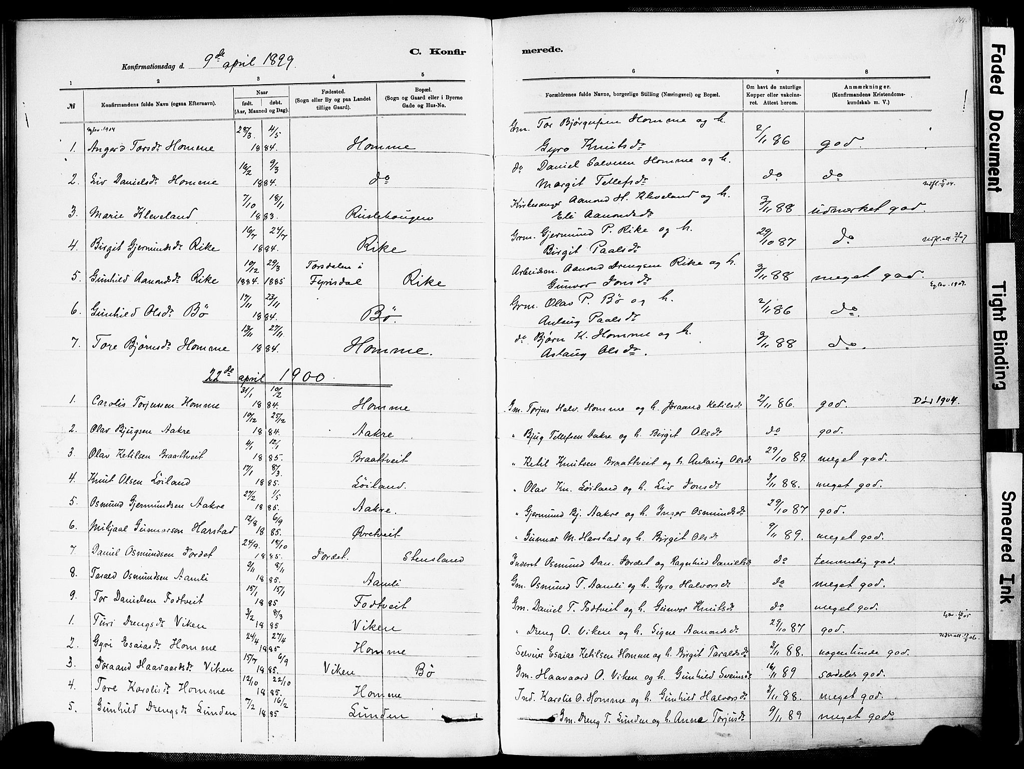 Valle sokneprestkontor, AV/SAK-1111-0044/F/Fa/Fac/L0009: Parish register (official) no. A 9, 1882-1913, p. 141