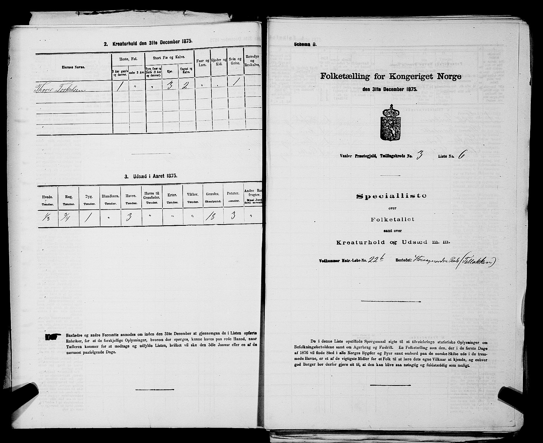 RA, 1875 census for 0137P Våler, 1875, p. 414