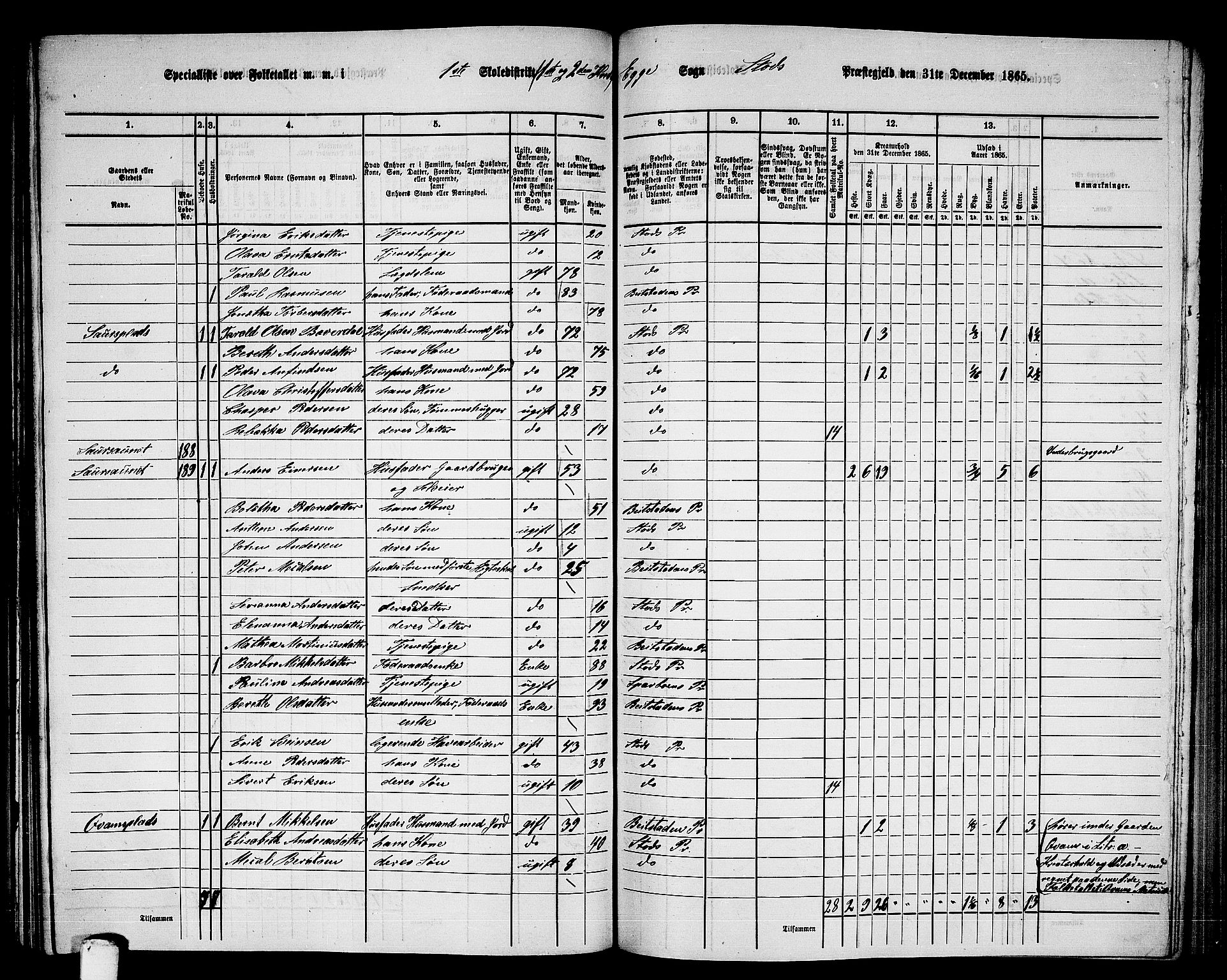 RA, 1865 census for Stod, 1865, p. 145