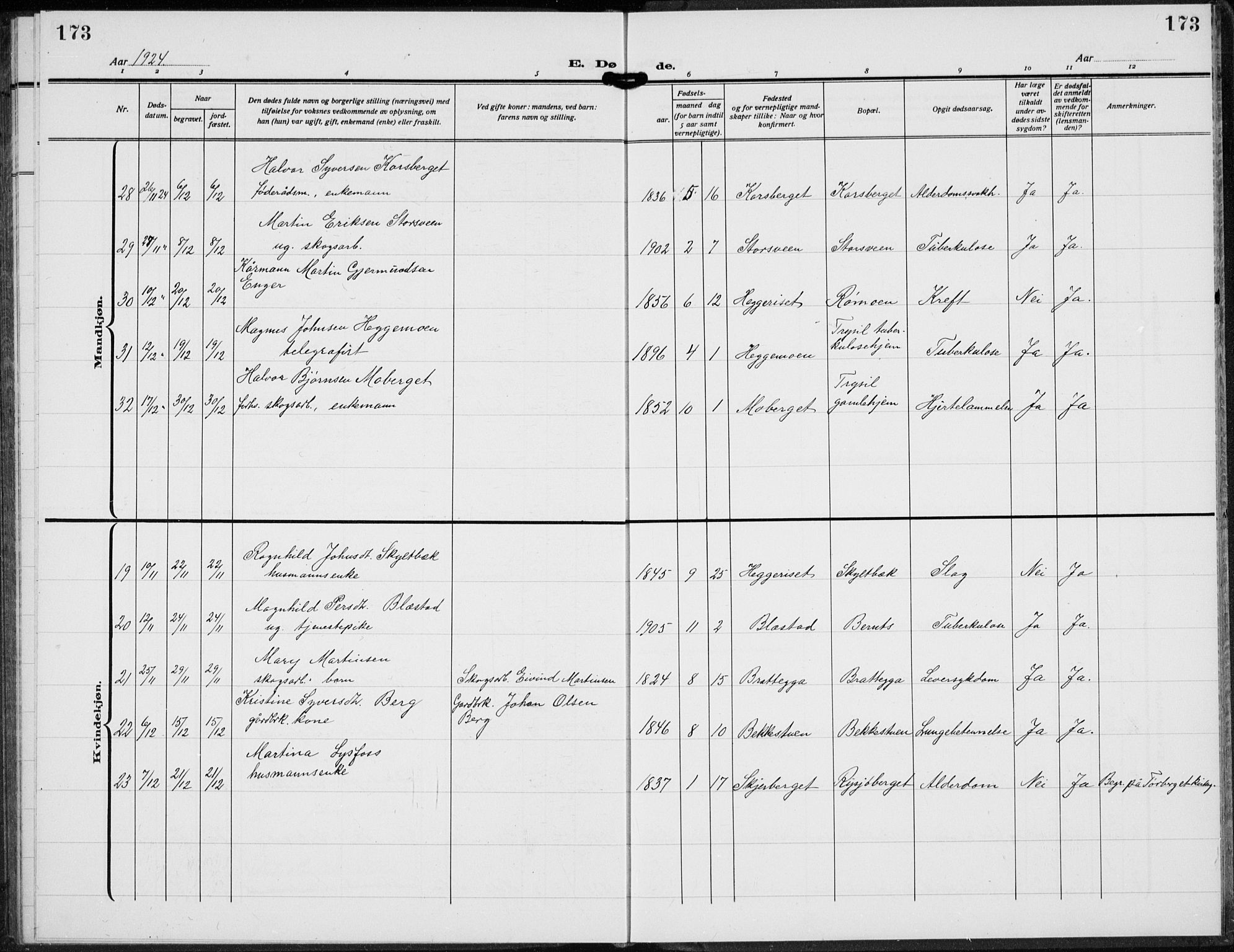 Trysil prestekontor, SAH/PREST-046/H/Ha/Hab/L0010: Parish register (copy) no. 10, 1917-1937, p. 173