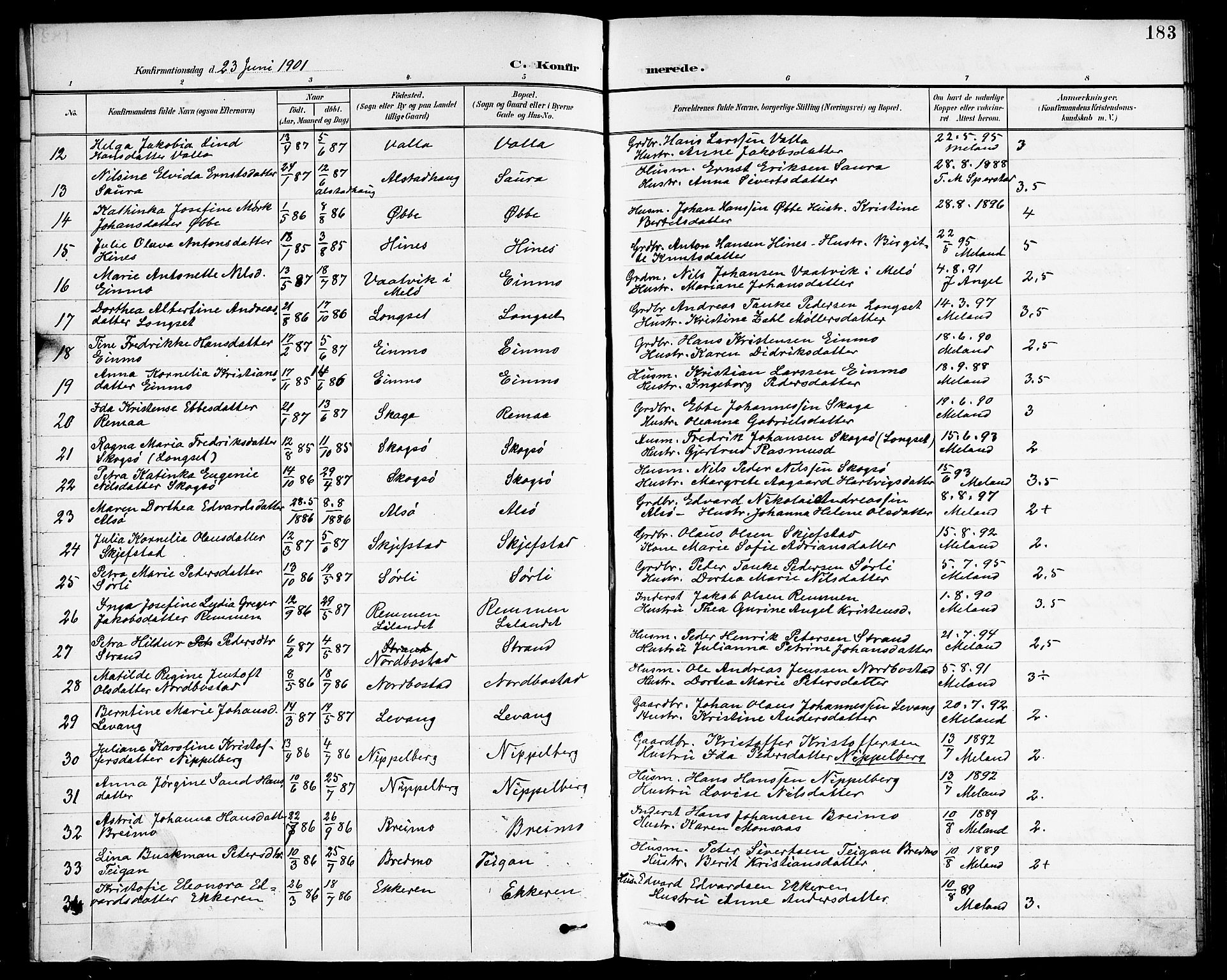 Ministerialprotokoller, klokkerbøker og fødselsregistre - Nordland, SAT/A-1459/838/L0559: Parish register (copy) no. 838C06, 1893-1910, p. 183