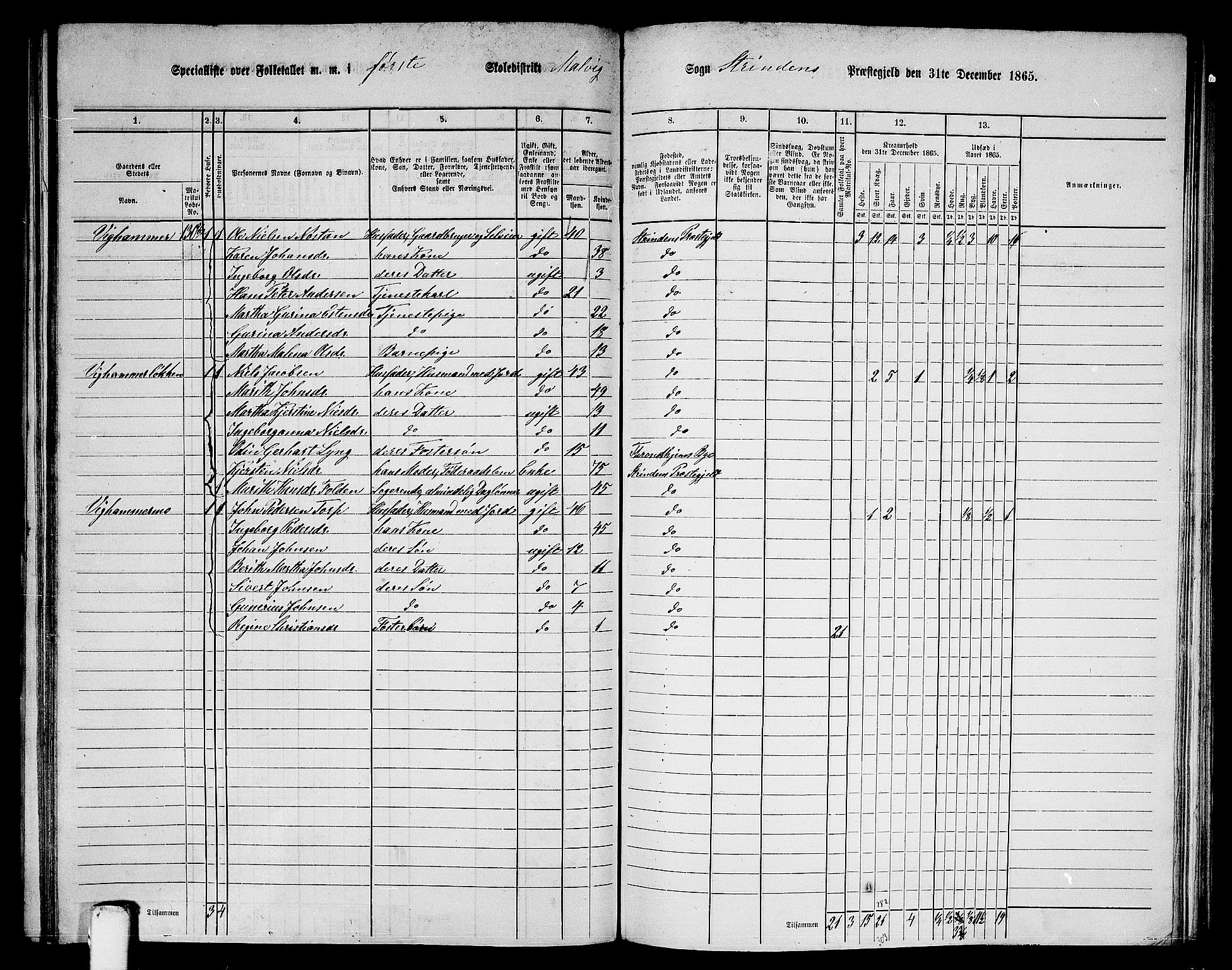 RA, 1865 census for Strinda, 1865, p. 196