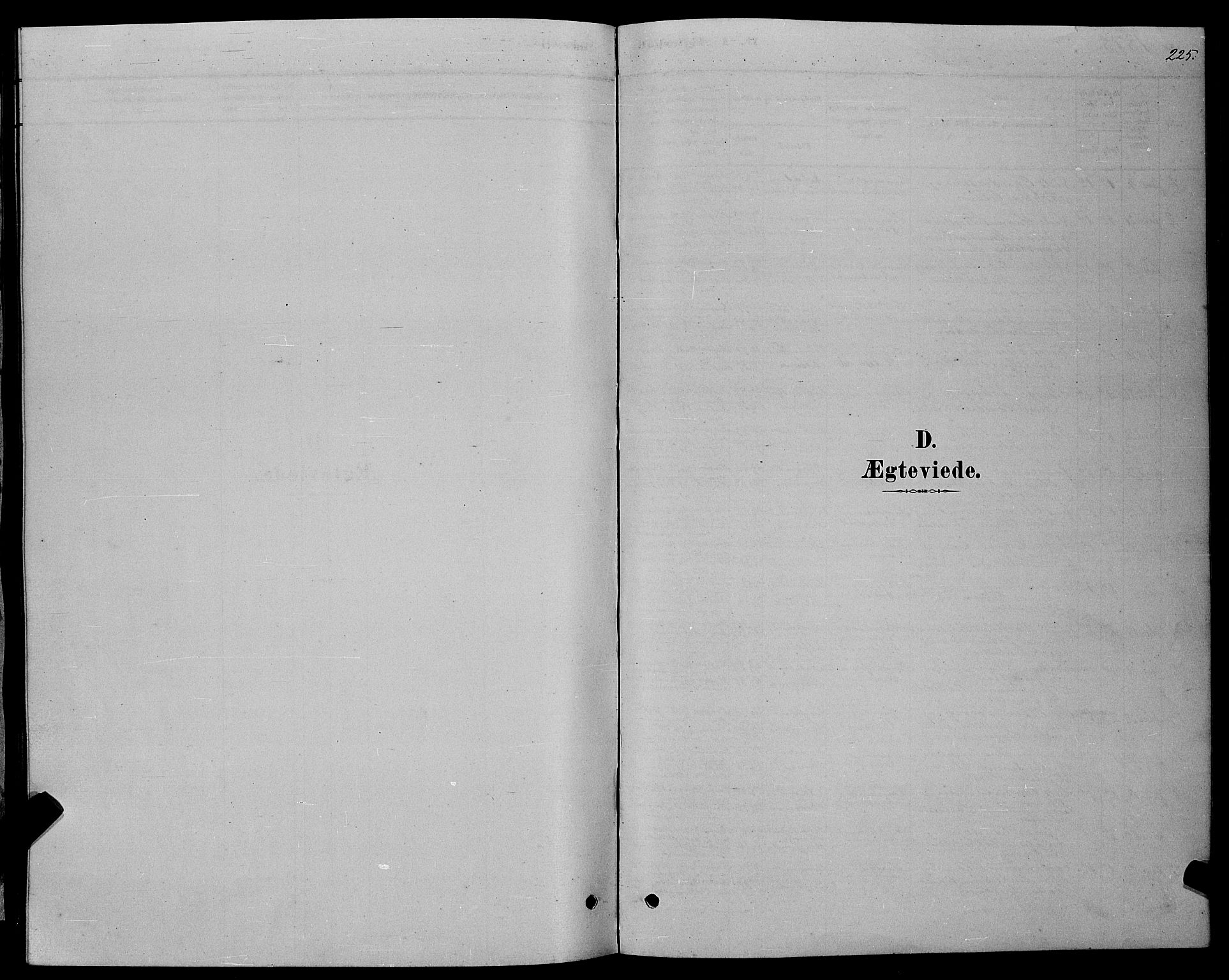 Ministerialprotokoller, klokkerbøker og fødselsregistre - Møre og Romsdal, SAT/A-1454/529/L0466: Parish register (copy) no. 529C03, 1878-1888, p. 225