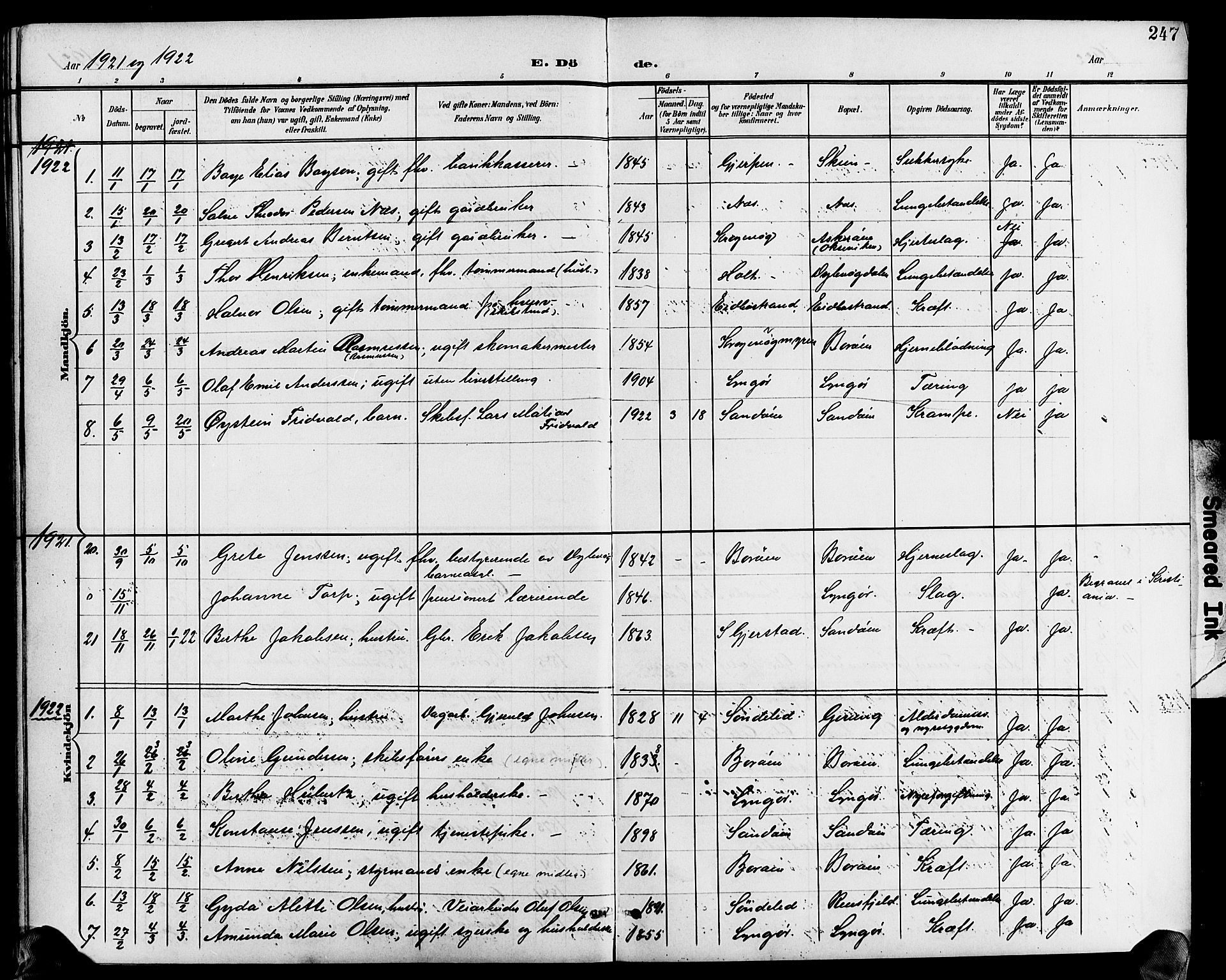 Dypvåg sokneprestkontor, AV/SAK-1111-0007/F/Fb/Fba/L0014: Parish register (copy) no. B 14, 1901-1922, p. 247