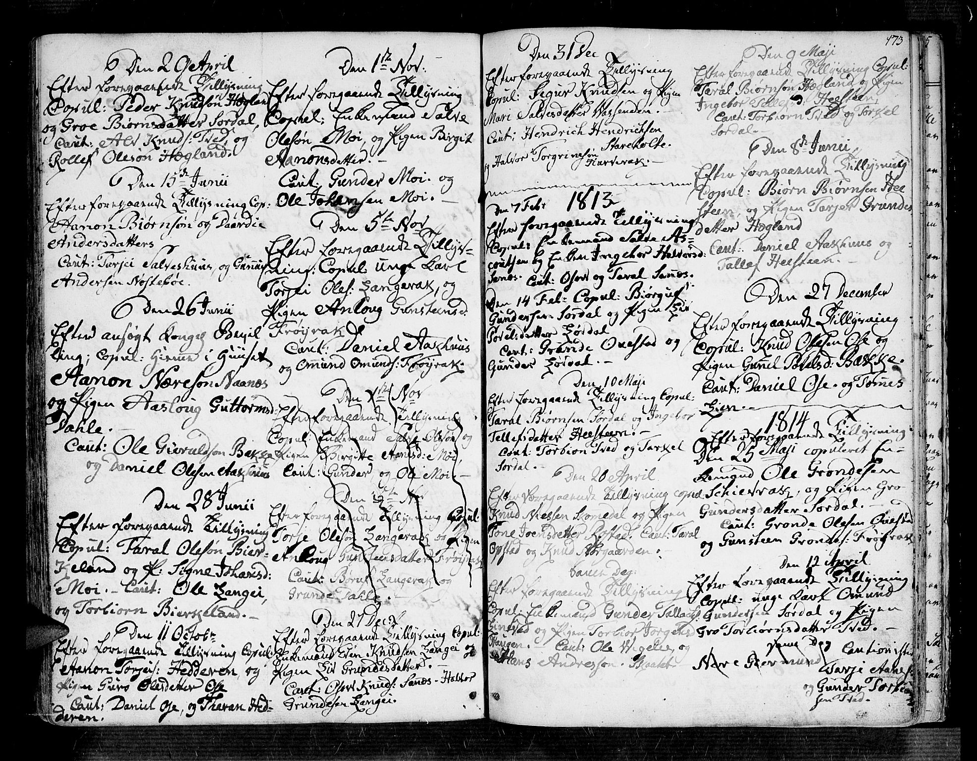 Bygland sokneprestkontor, SAK/1111-0006/F/Fa/Fab/L0002: Parish register (official) no. A 2, 1766-1816, p. 173