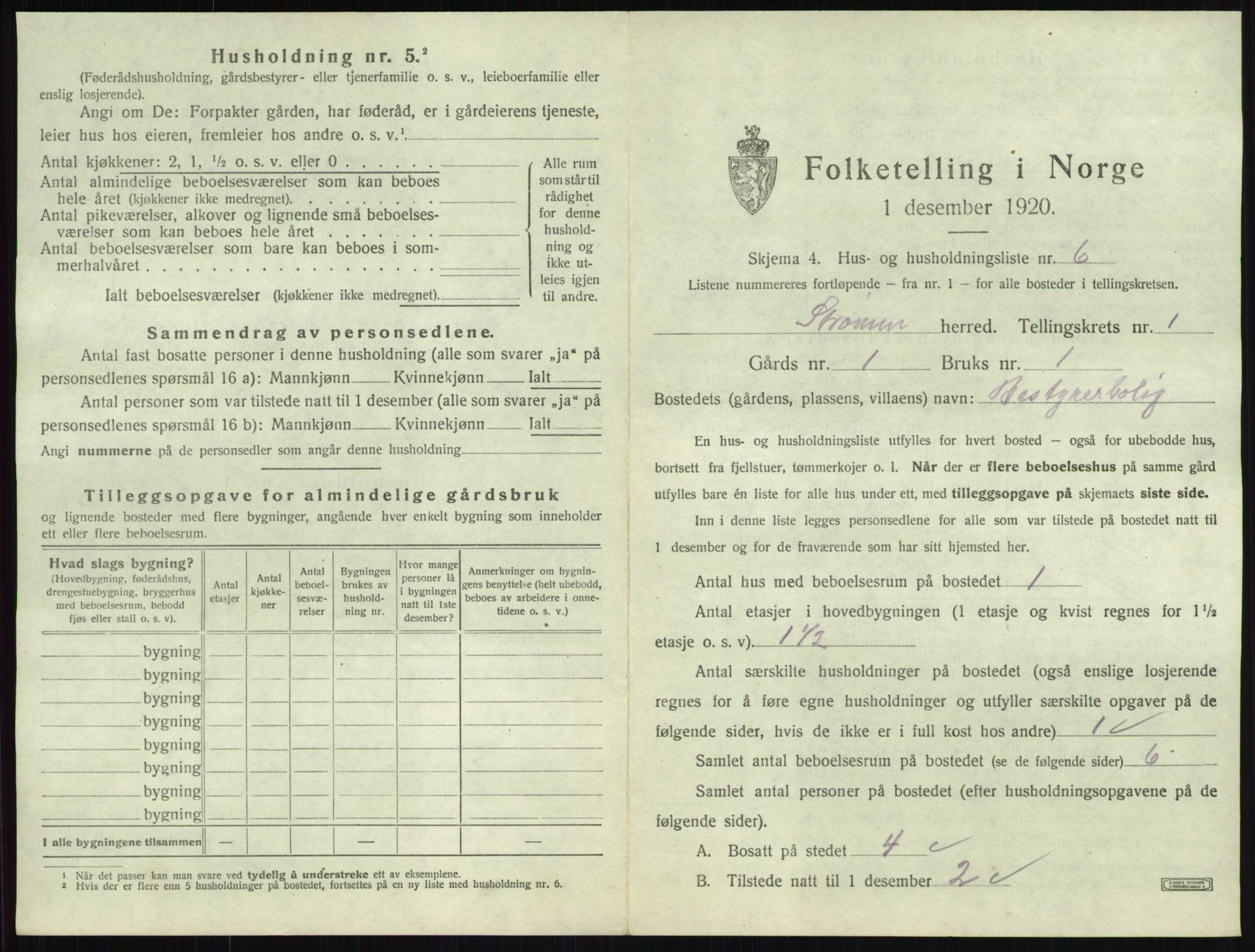 SAKO, 1920 census for Strømm, 1920, p. 30