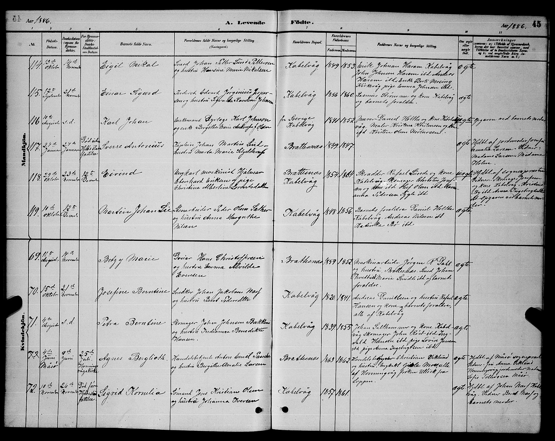 Ministerialprotokoller, klokkerbøker og fødselsregistre - Nordland, SAT/A-1459/874/L1076: Parish register (copy) no. 874C05, 1884-1890, p. 45