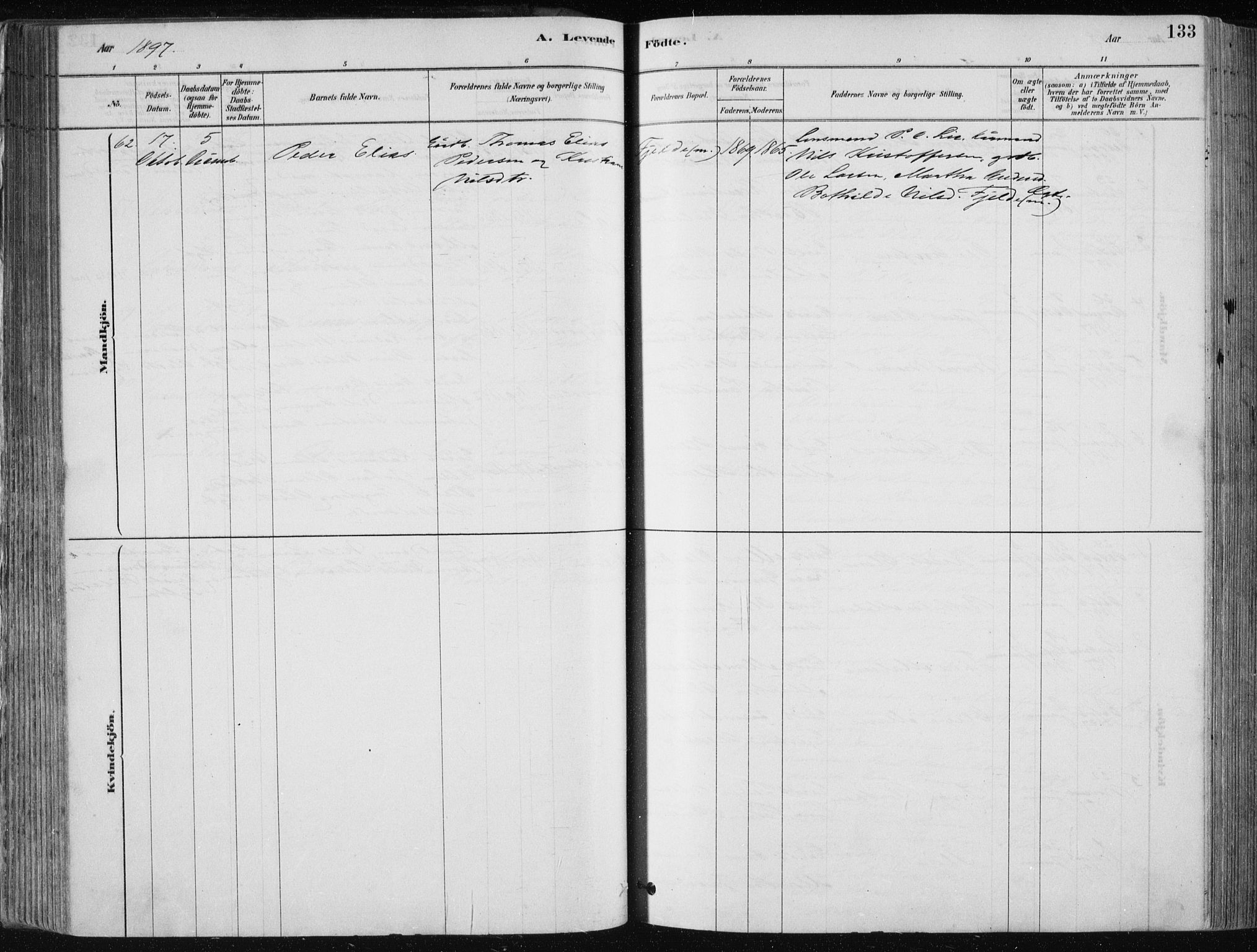 Fjell sokneprestembete, AV/SAB-A-75301/H/Haa: Parish register (official) no. A  8, 1878-1898, p. 133