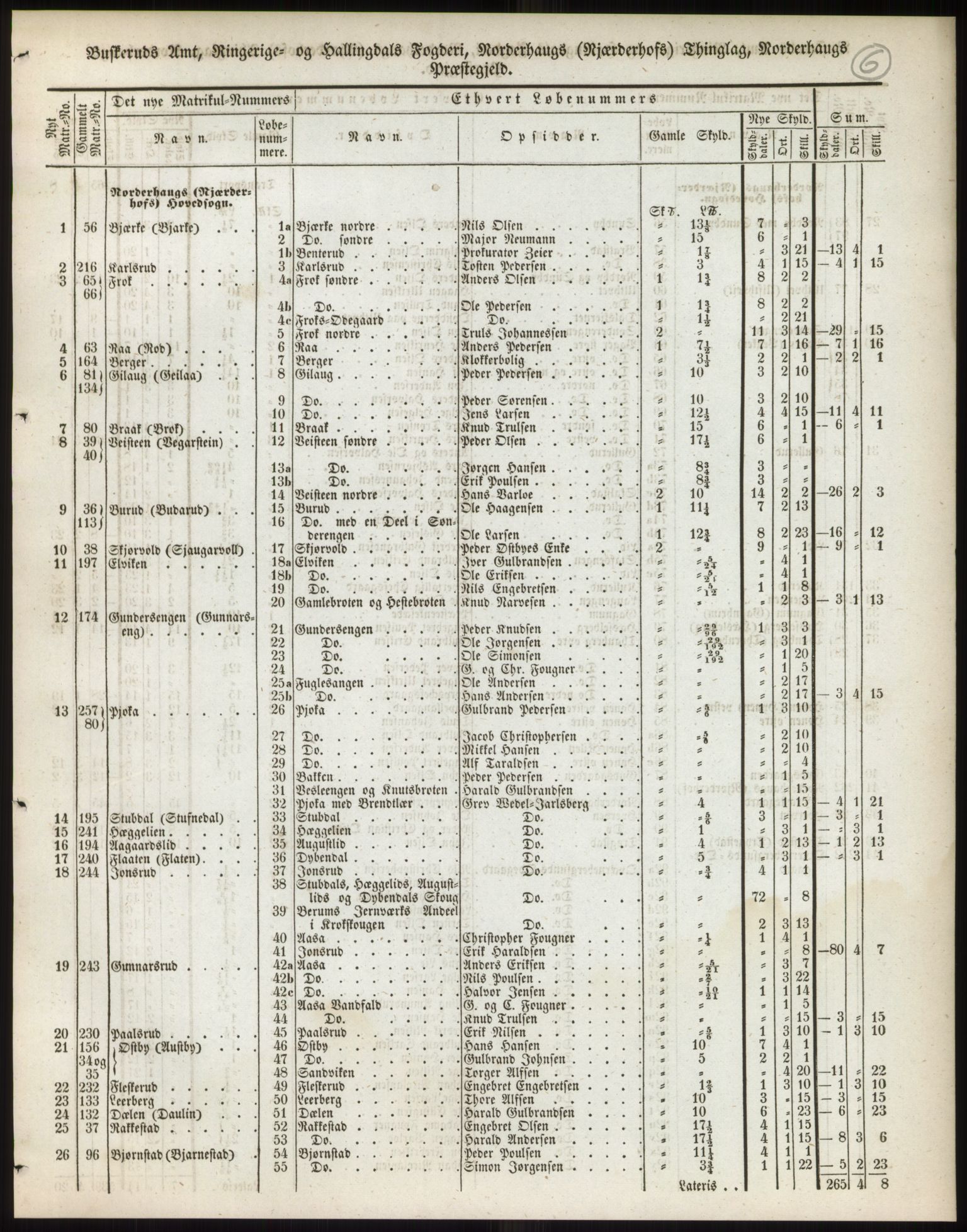 Andre publikasjoner, PUBL/PUBL-999/0002/0005: Bind 5 - Buskerud amt, 1838, p. 10