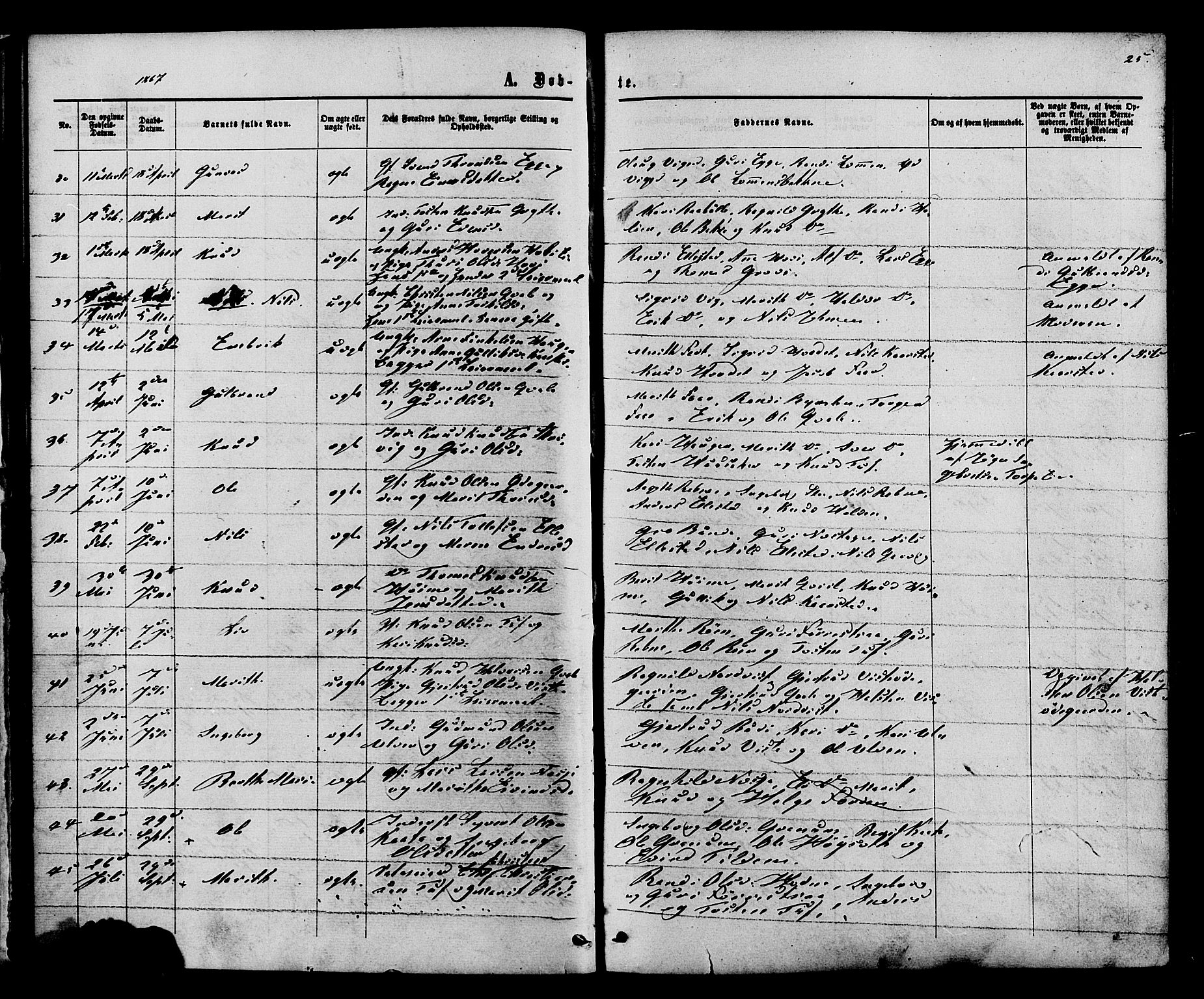 Vestre Slidre prestekontor, SAH/PREST-136/H/Ha/Haa/L0003: Parish register (official) no. 3, 1865-1880, p. 25