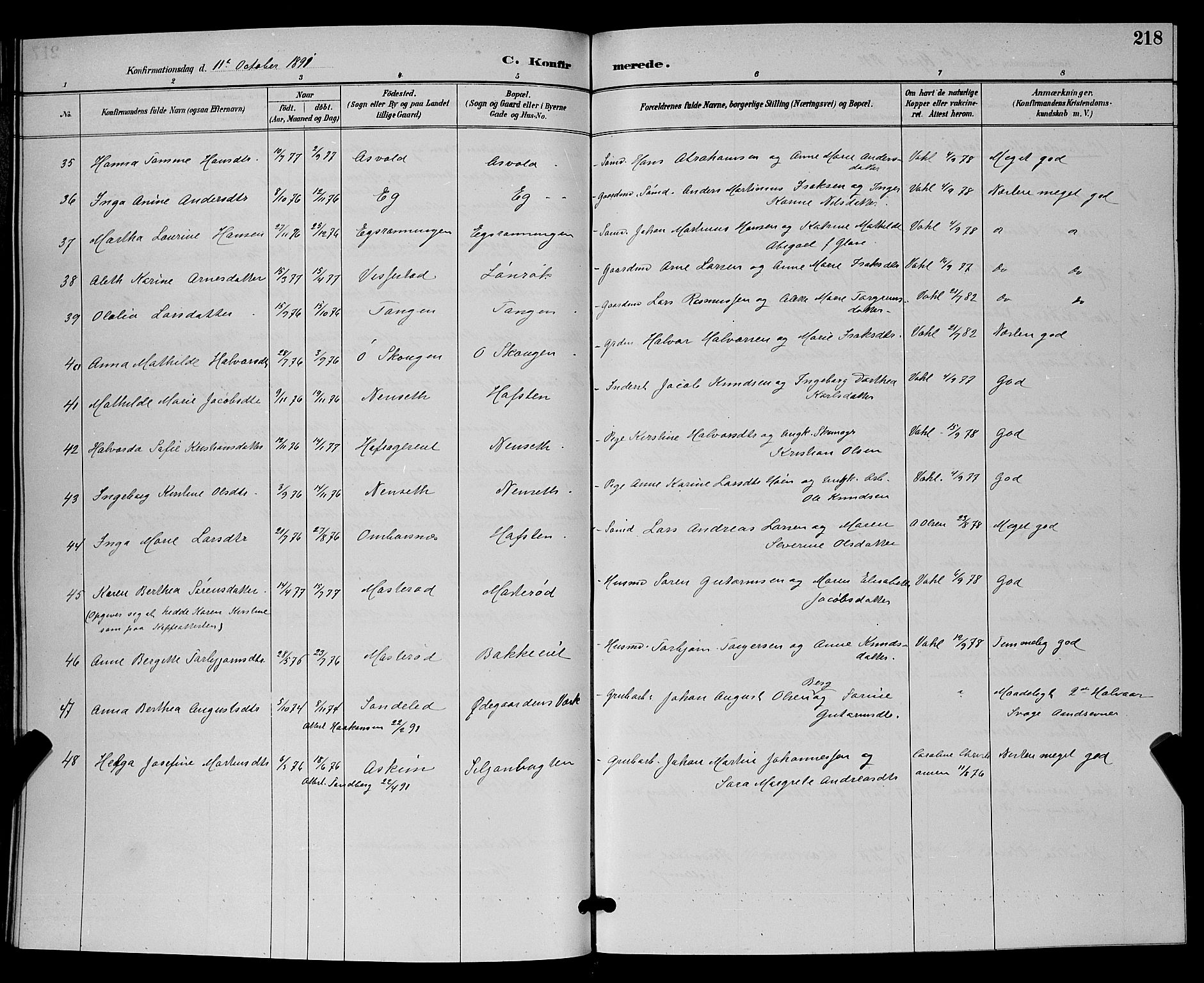 Bamble kirkebøker, SAKO/A-253/G/Ga/L0009: Parish register (copy) no. I 9, 1888-1900, p. 218