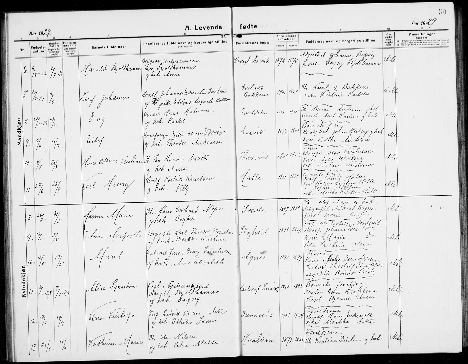 Brunlanes kirkebøker, SAKO/A-342/G/Ga/L0005: Parish register (copy) no. I 5, 1918-1941, p. 50