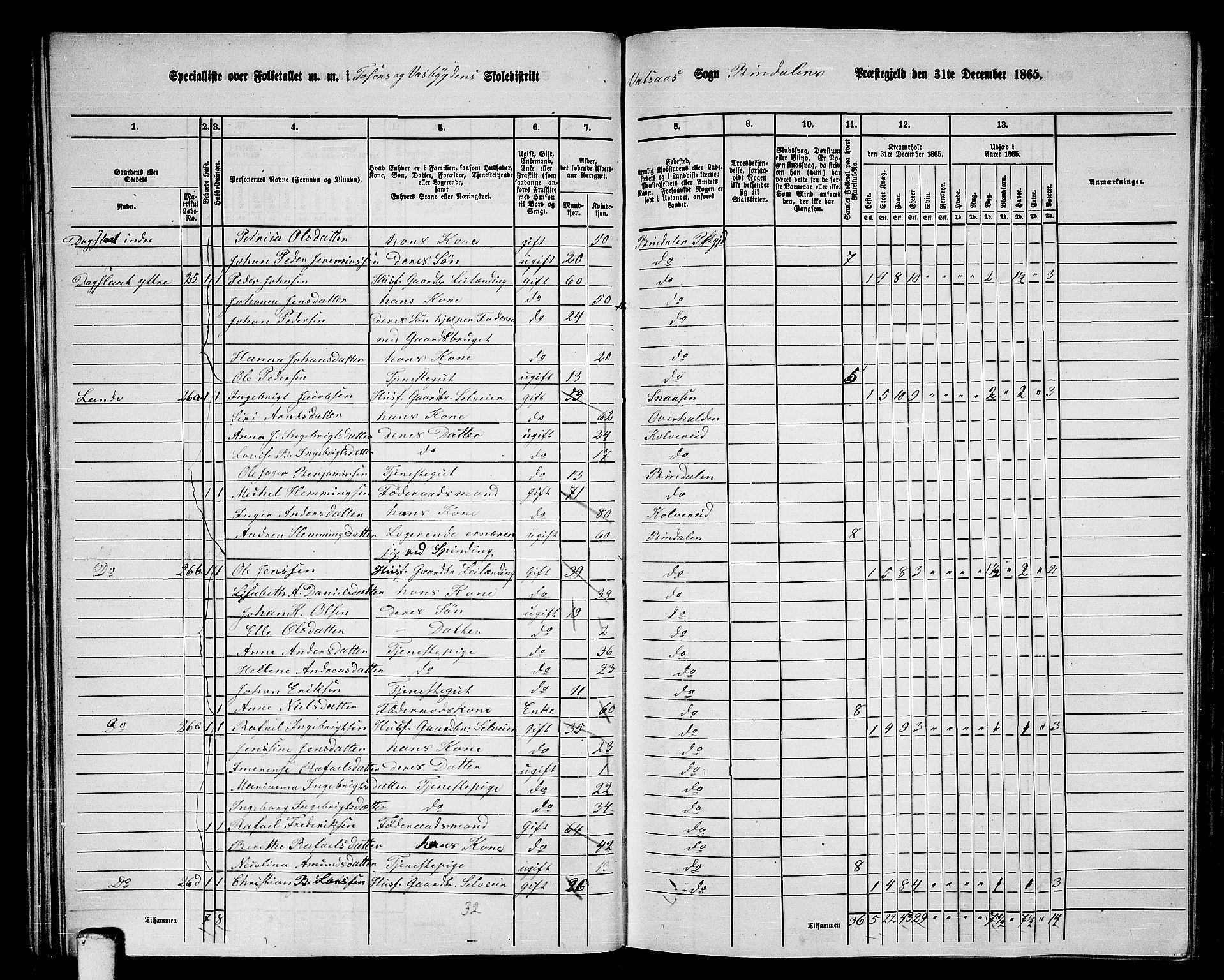 RA, 1865 census for Bindal, 1865, p. 35