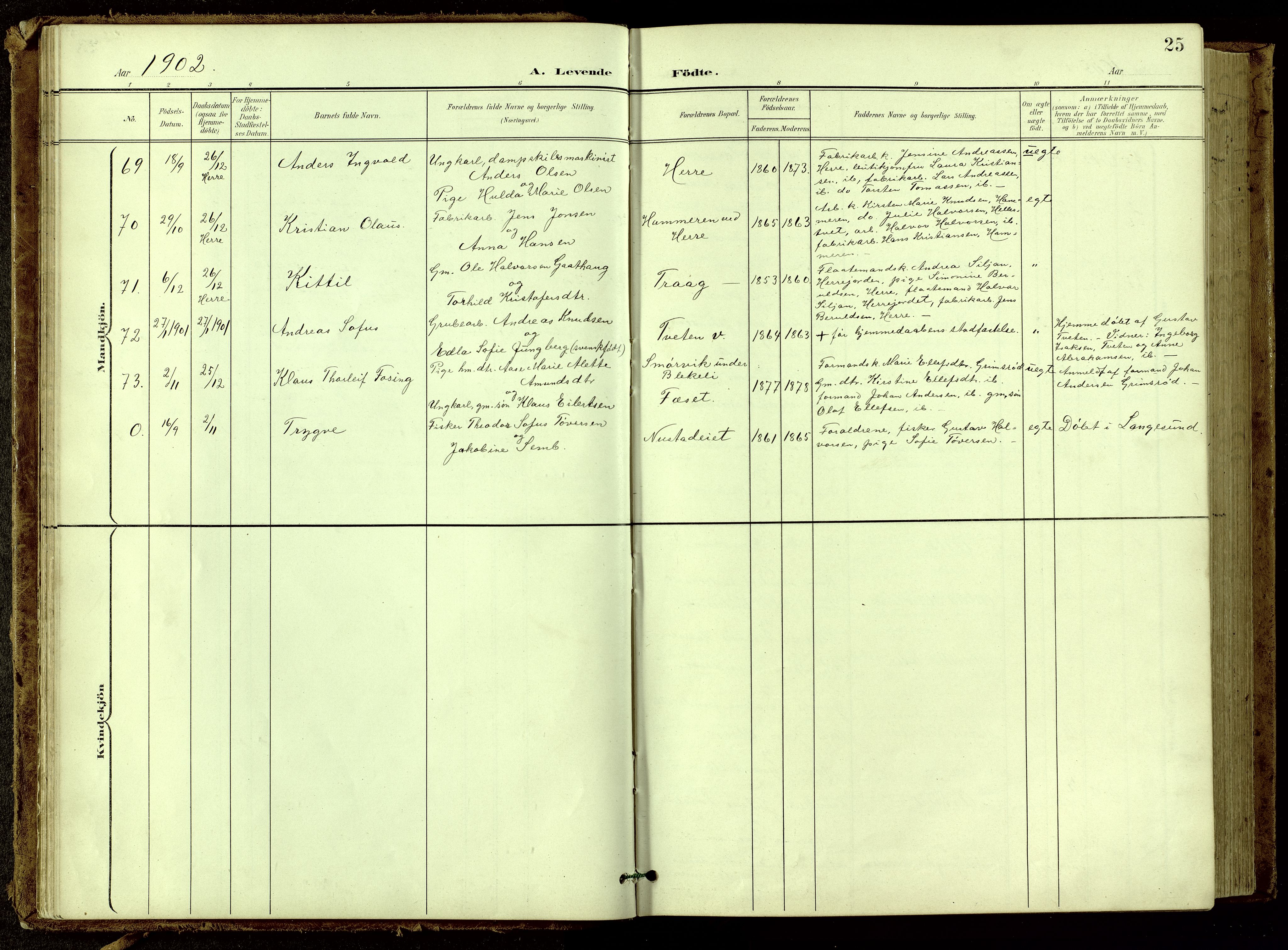 Bamble kirkebøker, SAKO/A-253/G/Ga/L0010: Parish register (copy) no. I 10, 1901-1919, p. 25