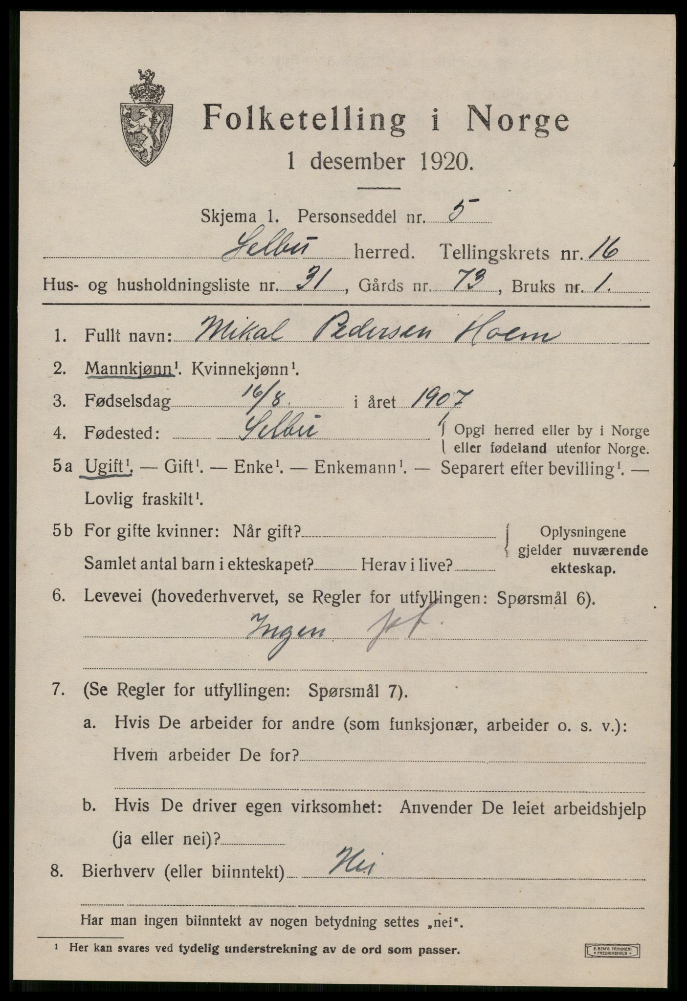 SAT, 1920 census for Selbu, 1920, p. 8876