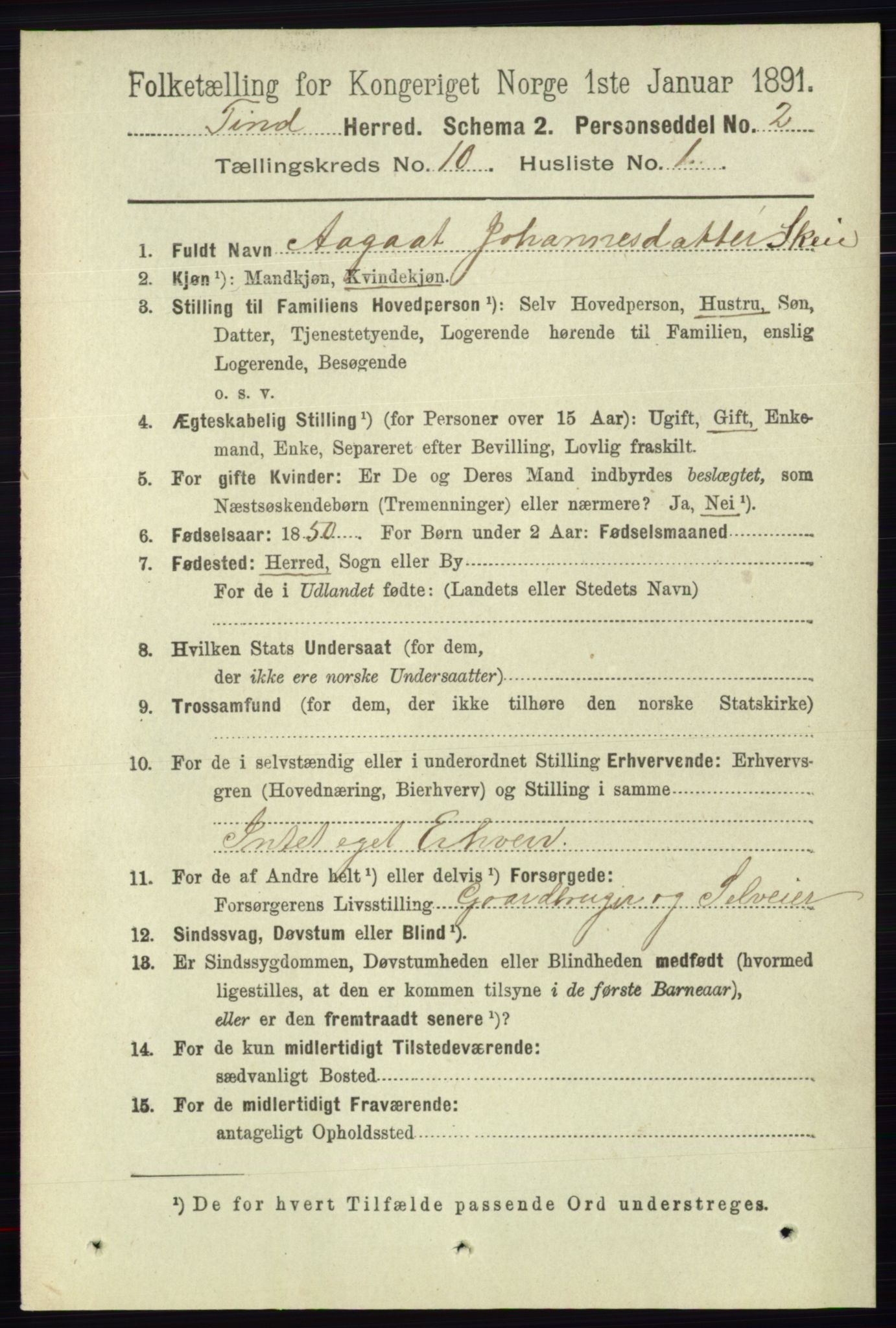 RA, 1891 census for 0826 Tinn, 1891, p. 1968