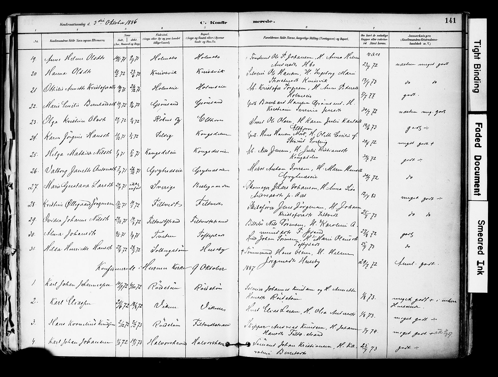 Hurum kirkebøker, SAKO/A-229/F/Fa/L0014: Parish register (official) no. 14, 1882-1895, p. 141