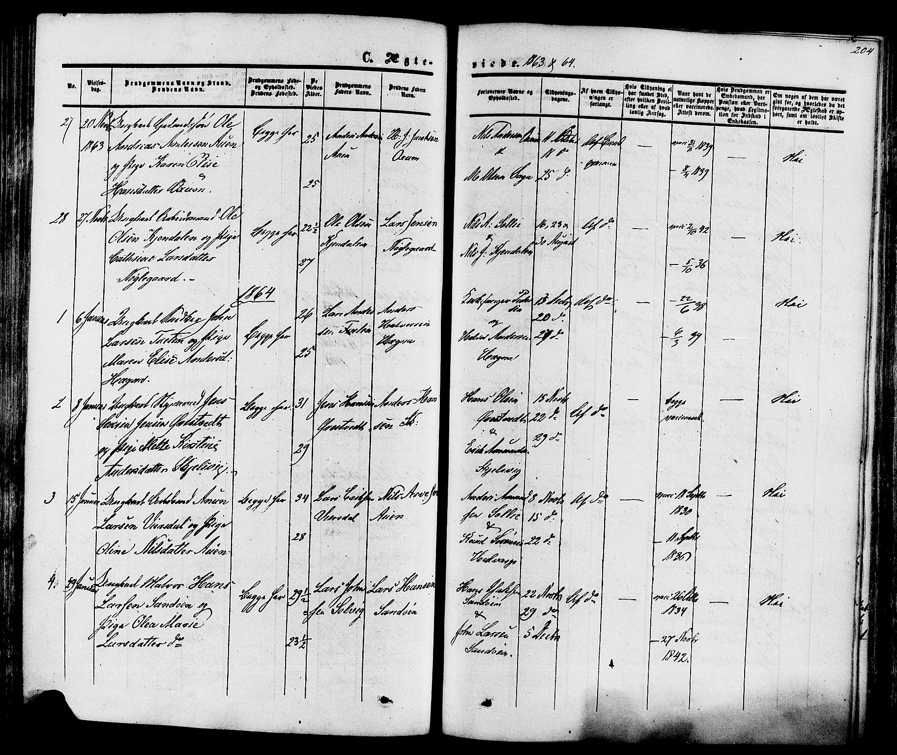 Eidanger kirkebøker, SAKO/A-261/F/Fa/L0010: Parish register (official) no. 10, 1859-1874, p. 204