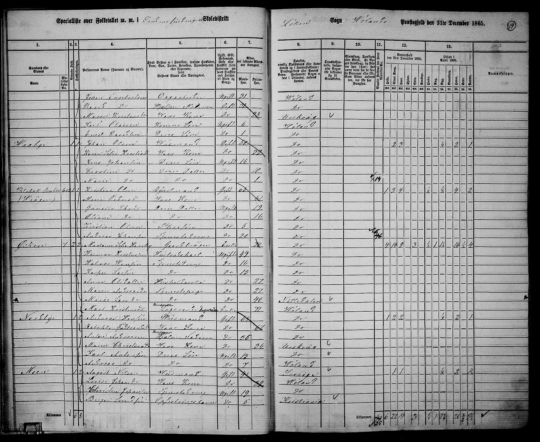 RA, 1865 census for Høland, 1865, p. 19