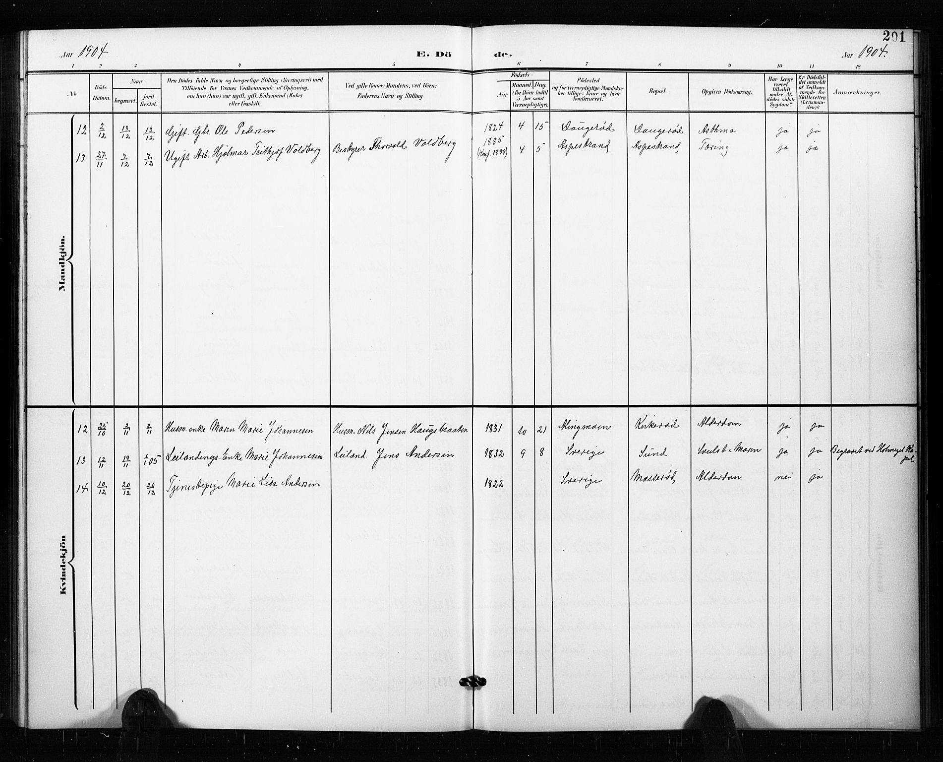 Aremark prestekontor Kirkebøker, AV/SAO-A-10899/G/Ga/L0002: Parish register (copy) no. I 2, 1901-1928, p. 201