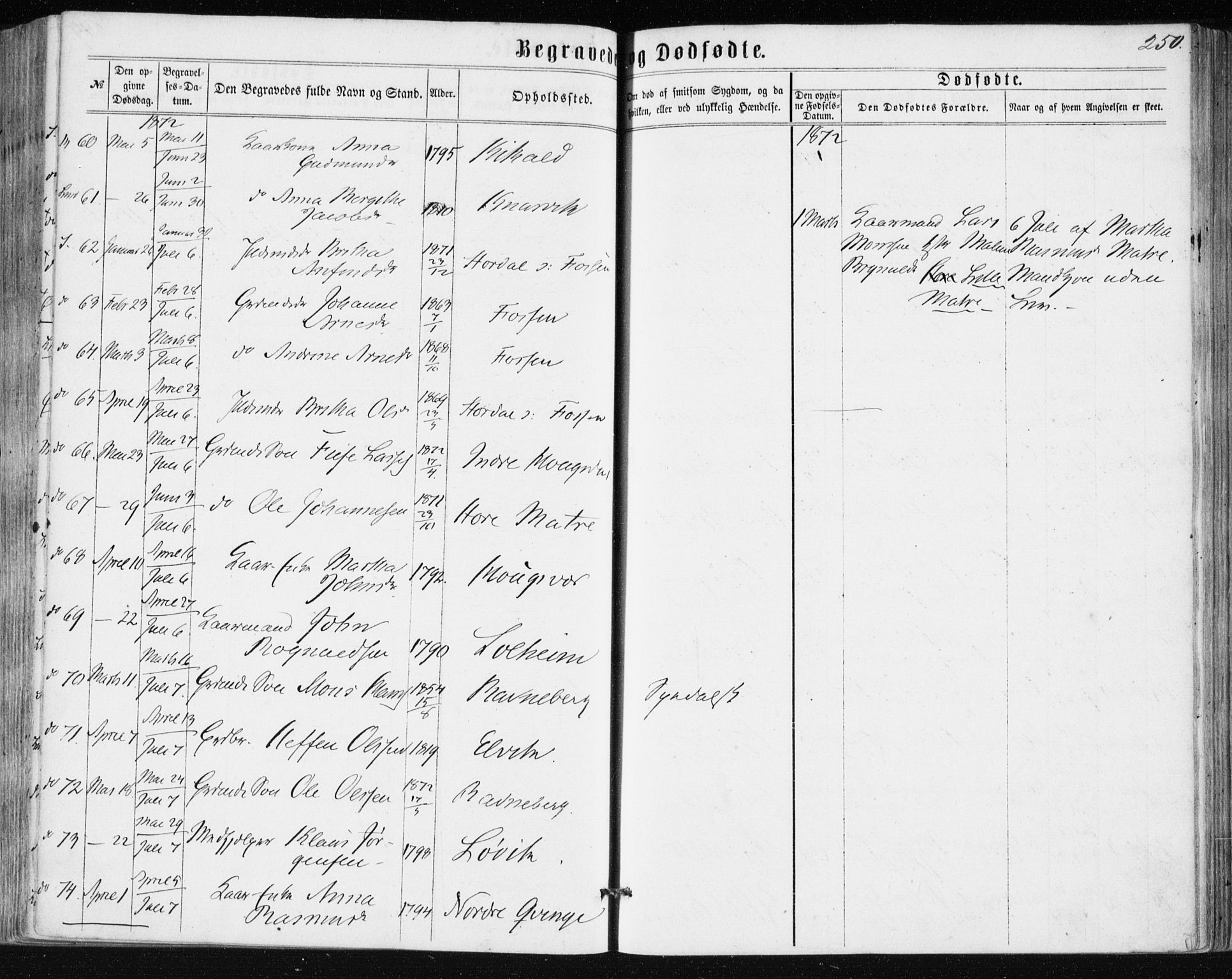 Lindås Sokneprestembete, AV/SAB-A-76701/H/Haa/Haaa/L0016: Parish register (official) no. A 16, 1863-1875, p. 250