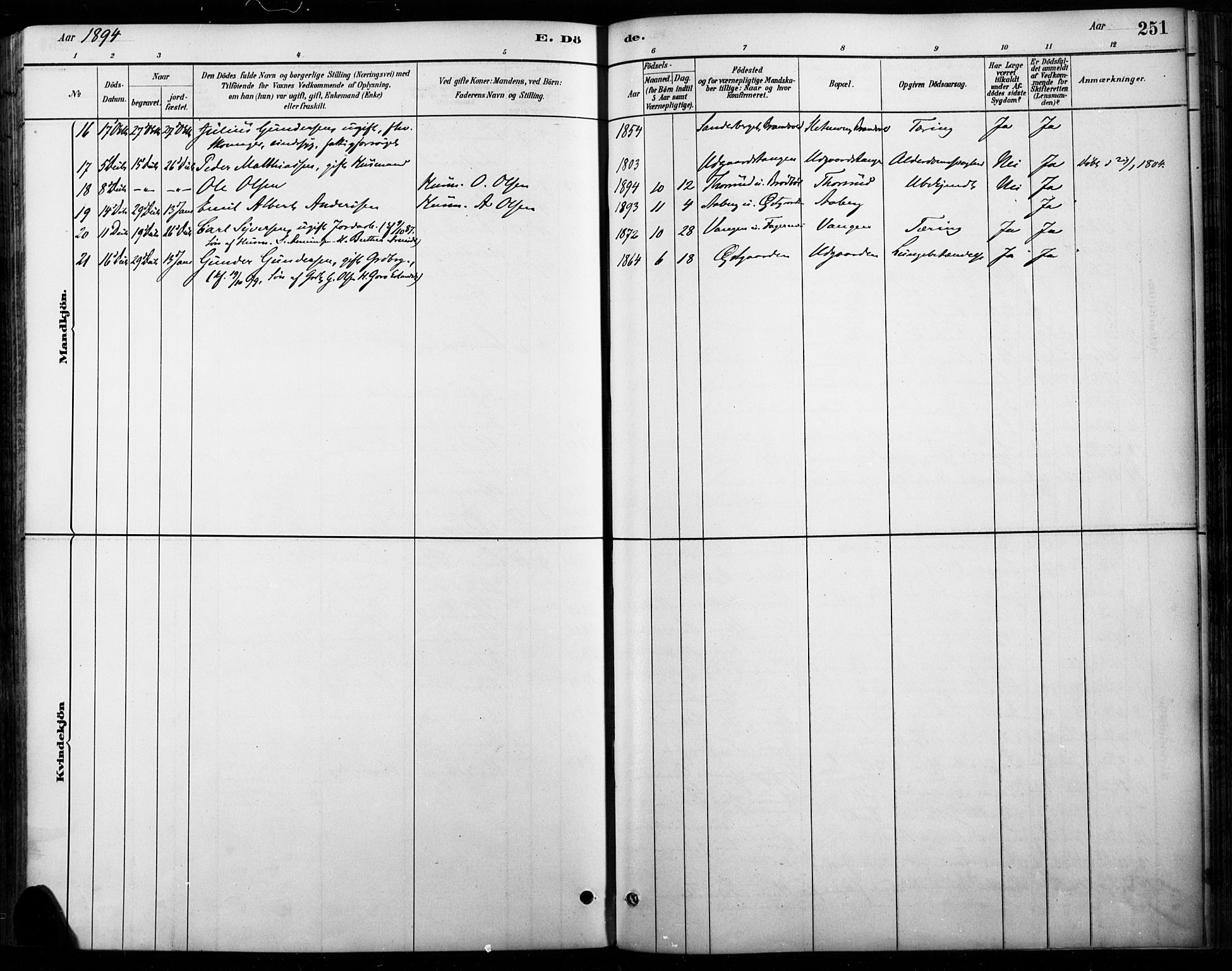 Vinger prestekontor, AV/SAH-PREST-024/H/Ha/Haa/L0015: Parish register (official) no. 15, 1881-1900, p. 251