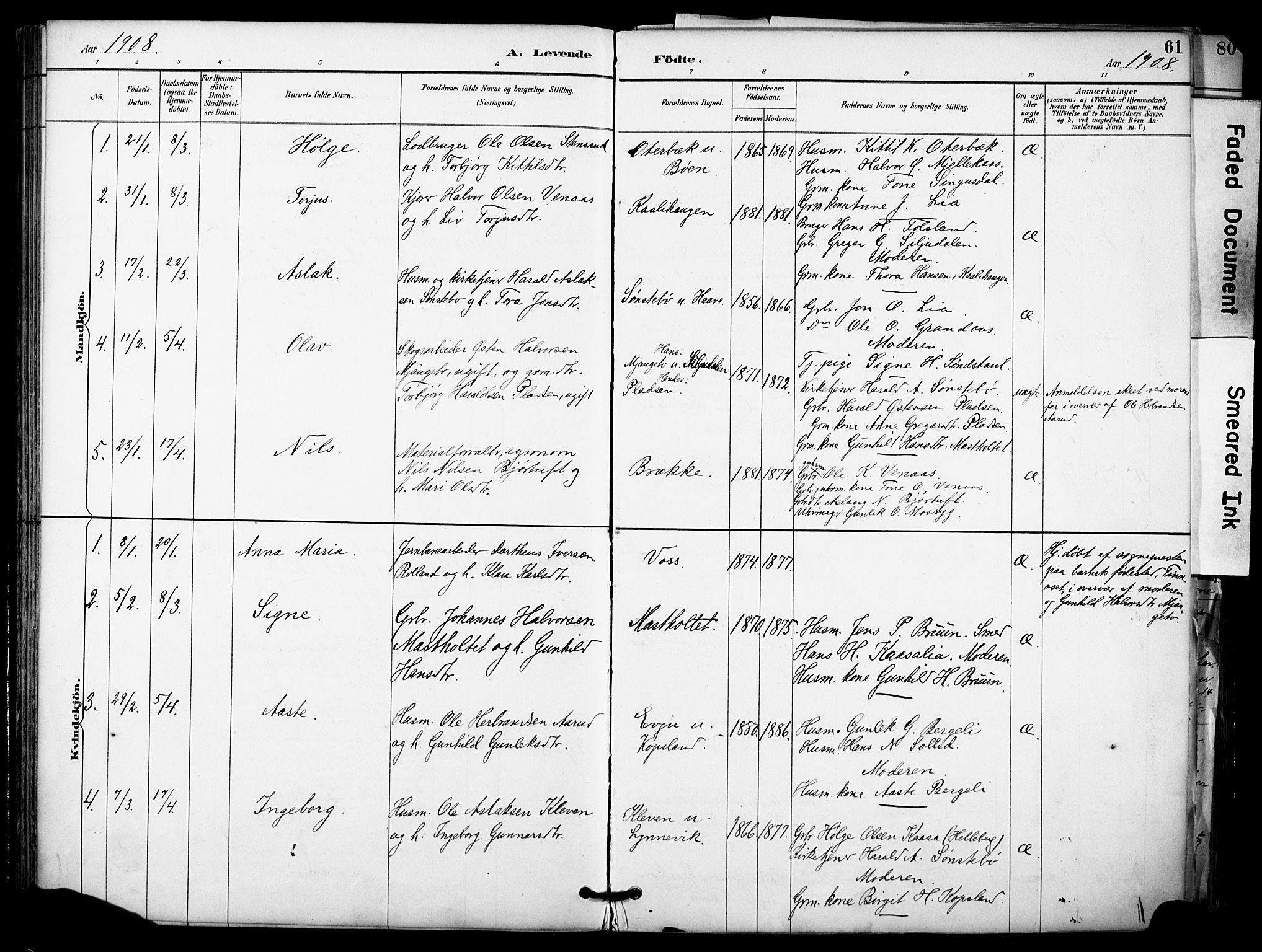 Gransherad kirkebøker, AV/SAKO-A-267/F/Fa/L0005: Parish register (official) no. I 5, 1887-1916, p. 61