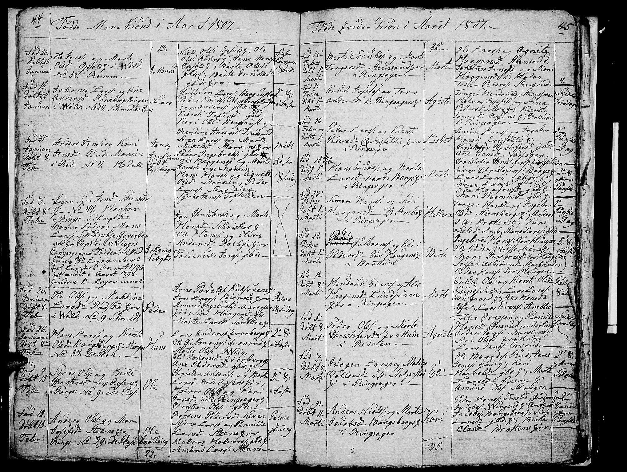 Ringsaker prestekontor, AV/SAH-PREST-014/I/Ia/L0005/0007: Parish register draft no. 5.7, 1805-1808, p. 44-45