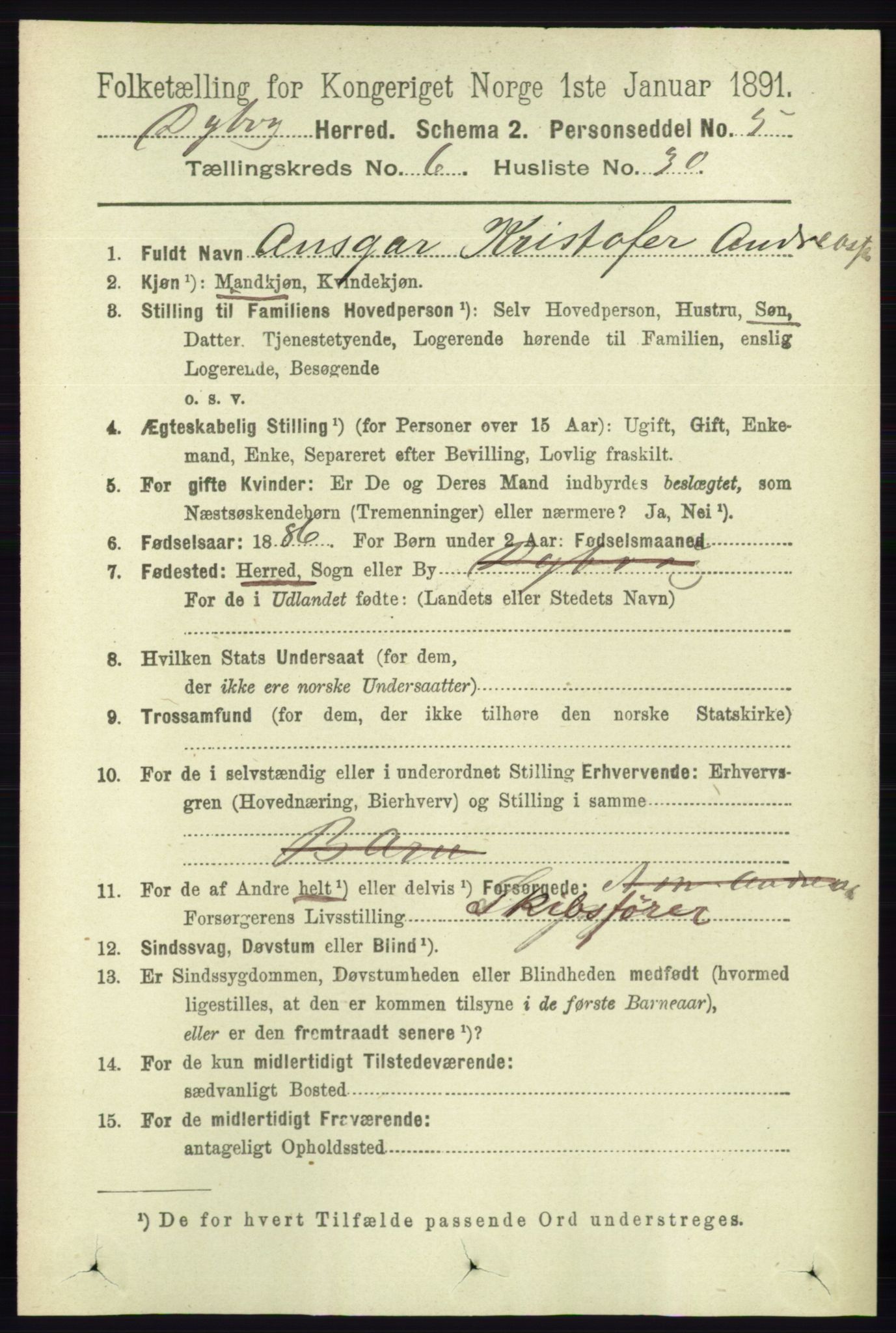 RA, 1891 census for 0915 Dypvåg, 1891, p. 1949