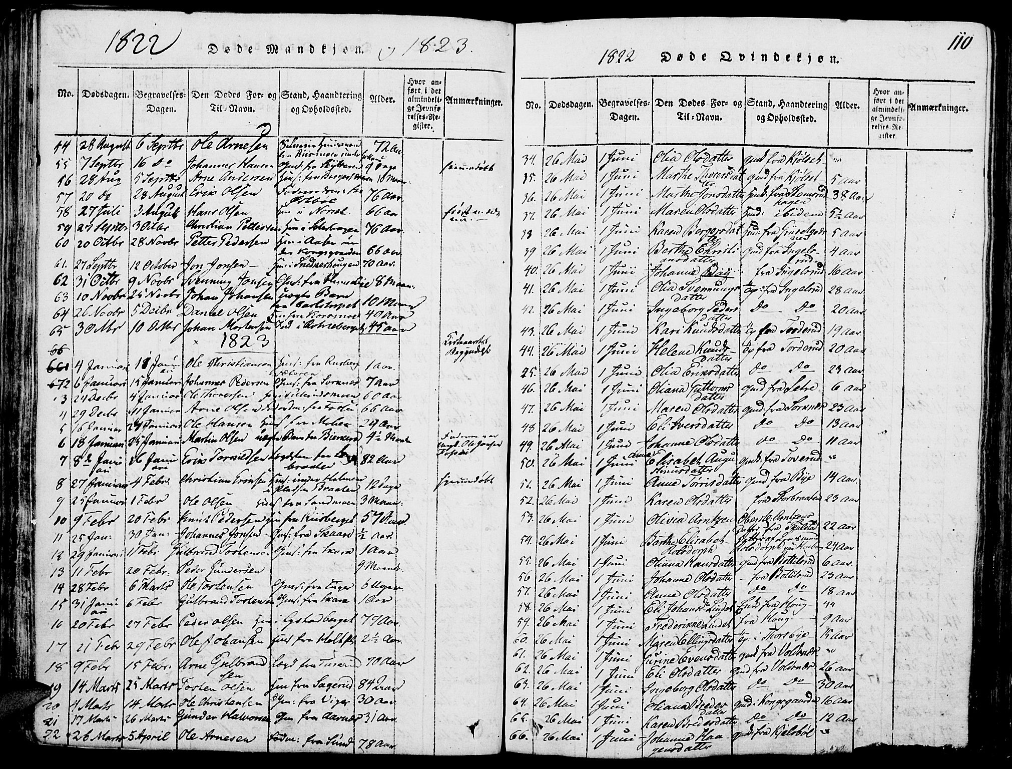 Grue prestekontor, SAH/PREST-036/H/Ha/Haa/L0006: Parish register (official) no. 6, 1814-1830, p. 110