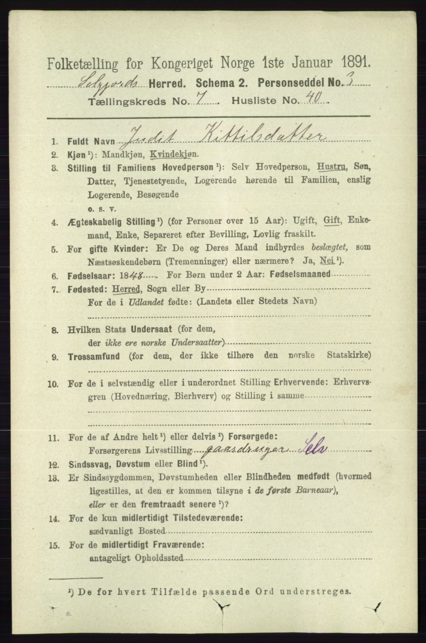 RA, 1891 census for 0828 Seljord, 1891, p. 2818