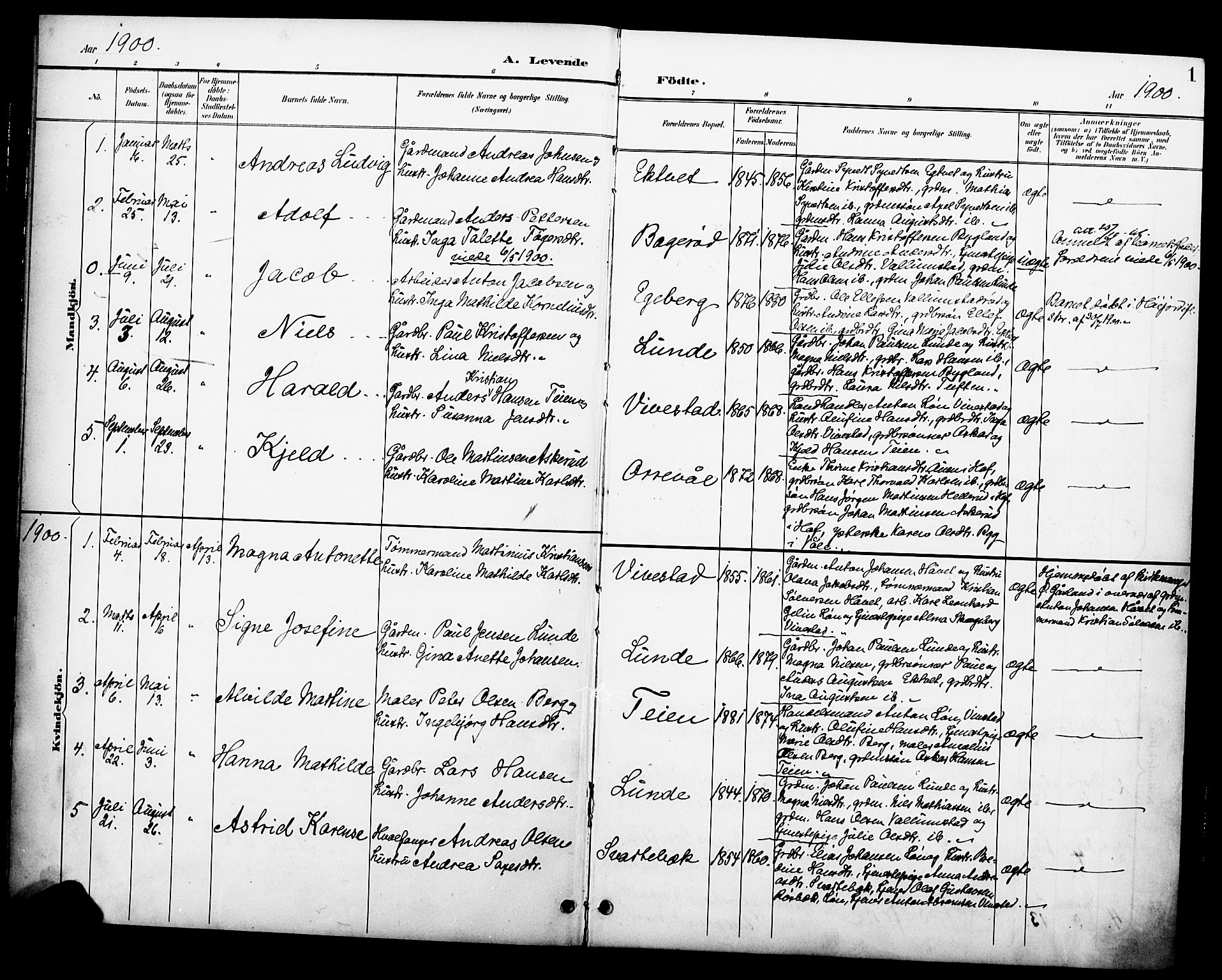 Ramnes kirkebøker, SAKO/A-314/F/Fc/L0002: Parish register (official) no. III 2, 1900-1914, p. 1
