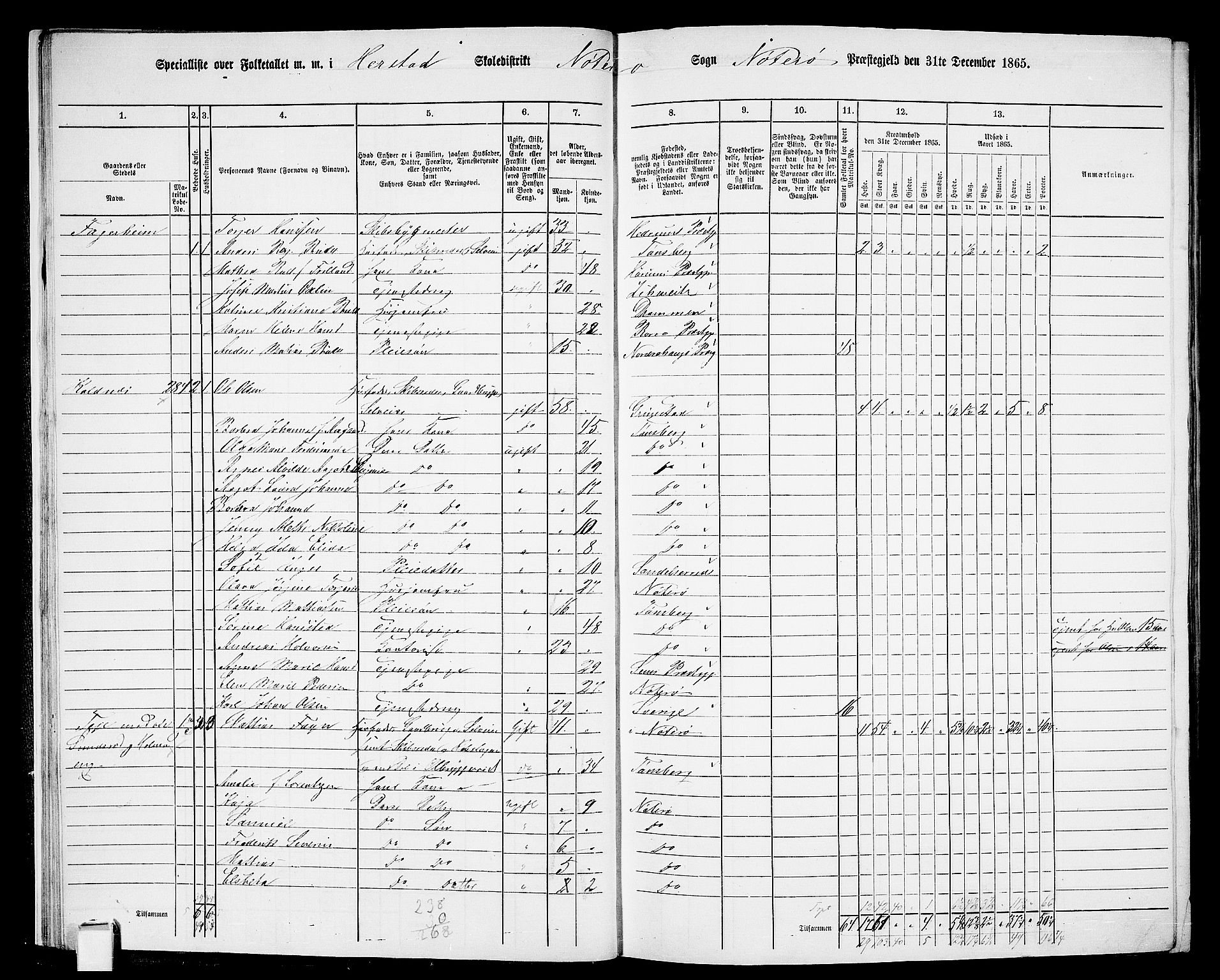 RA, 1865 census for Nøtterøy, 1865, p. 21